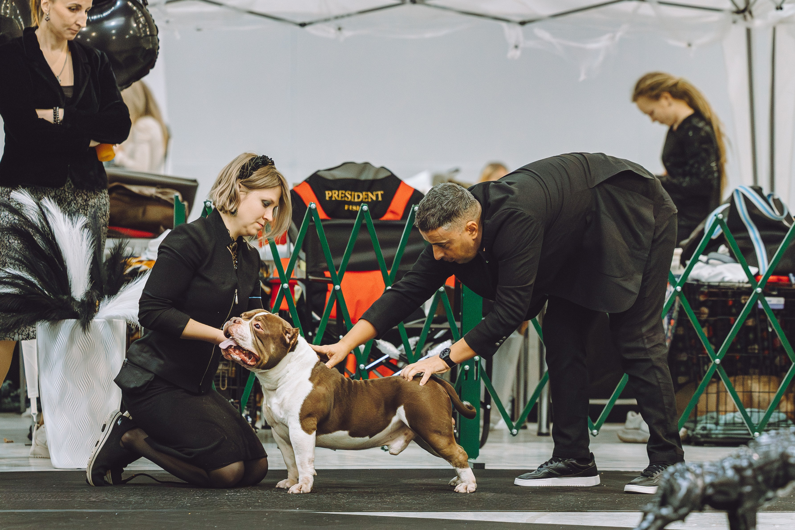 АВКС. Виктория Михайловская. Фотограф-анималист. Москва
