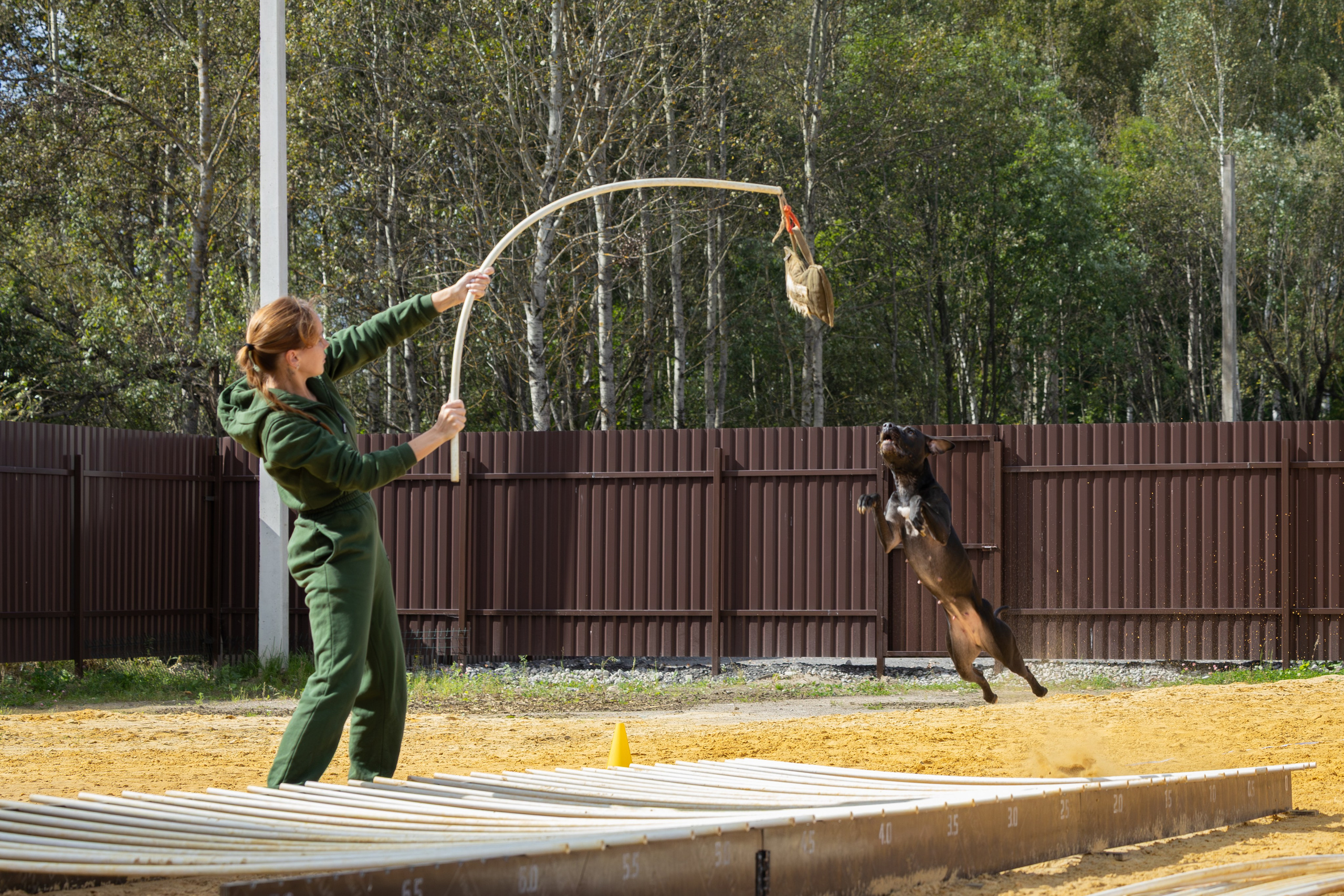 Jump'n'Gym. Виктория Михайловская. Фотограф-анималист. Москва