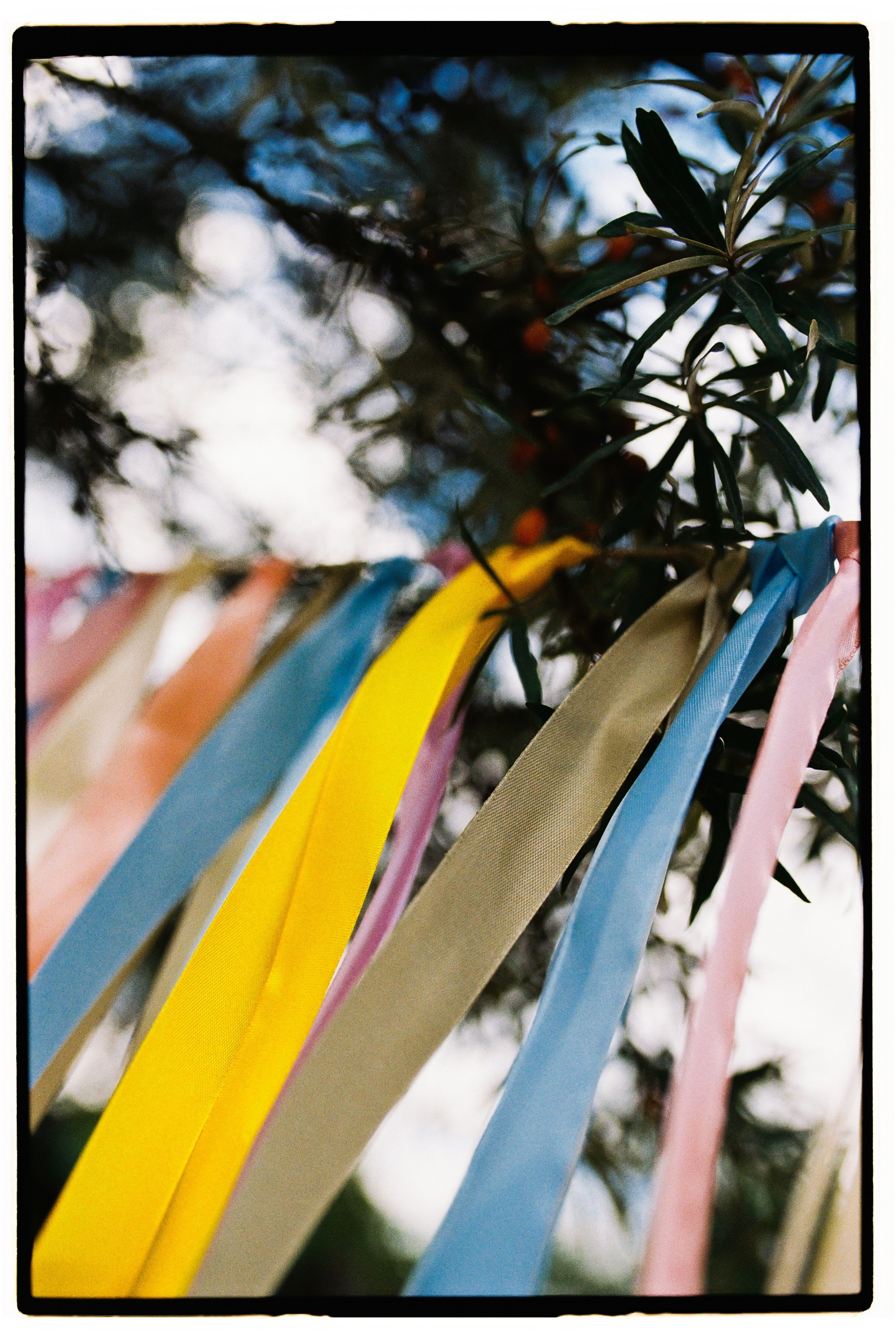 Дима и Настя. Свадебный фотограф в Москве Евгений Рыжов