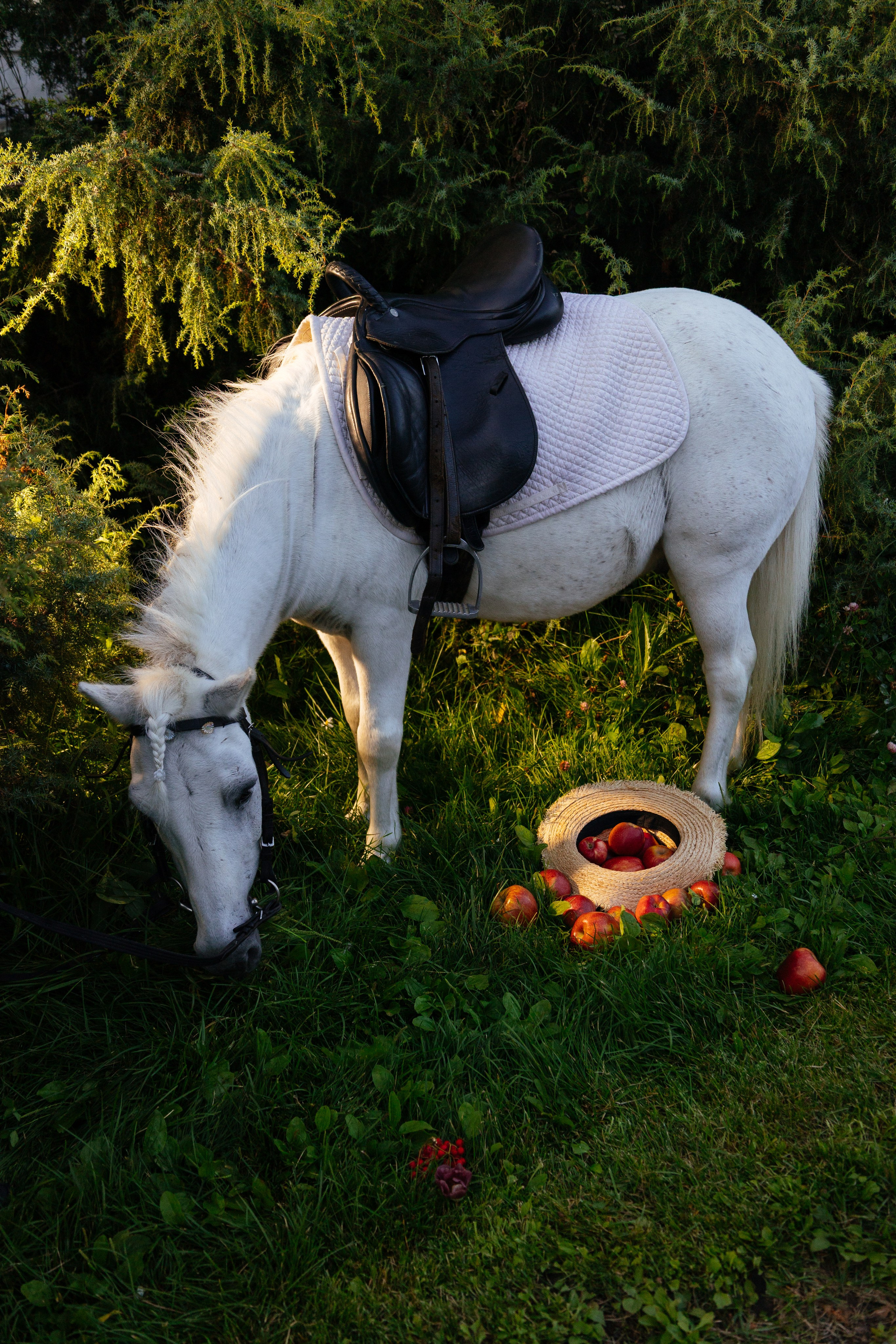 Дают — бери, бьют — беги. Закулисная жизнь в кадре | Backstage-фотограф из Москвы — Александра Слободская