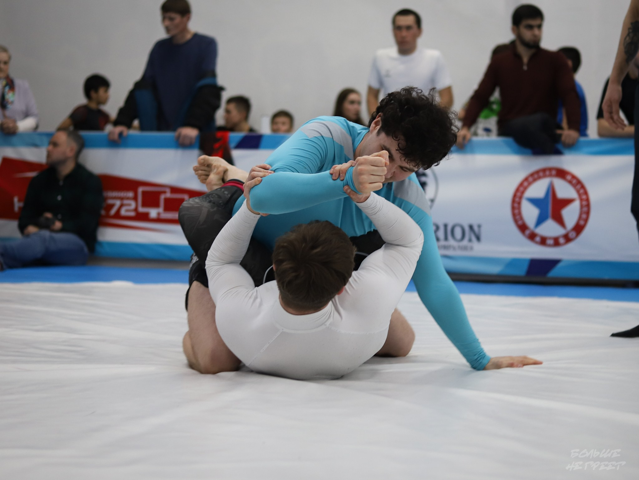 GORILLA PRIDE CUP. Больше не греет