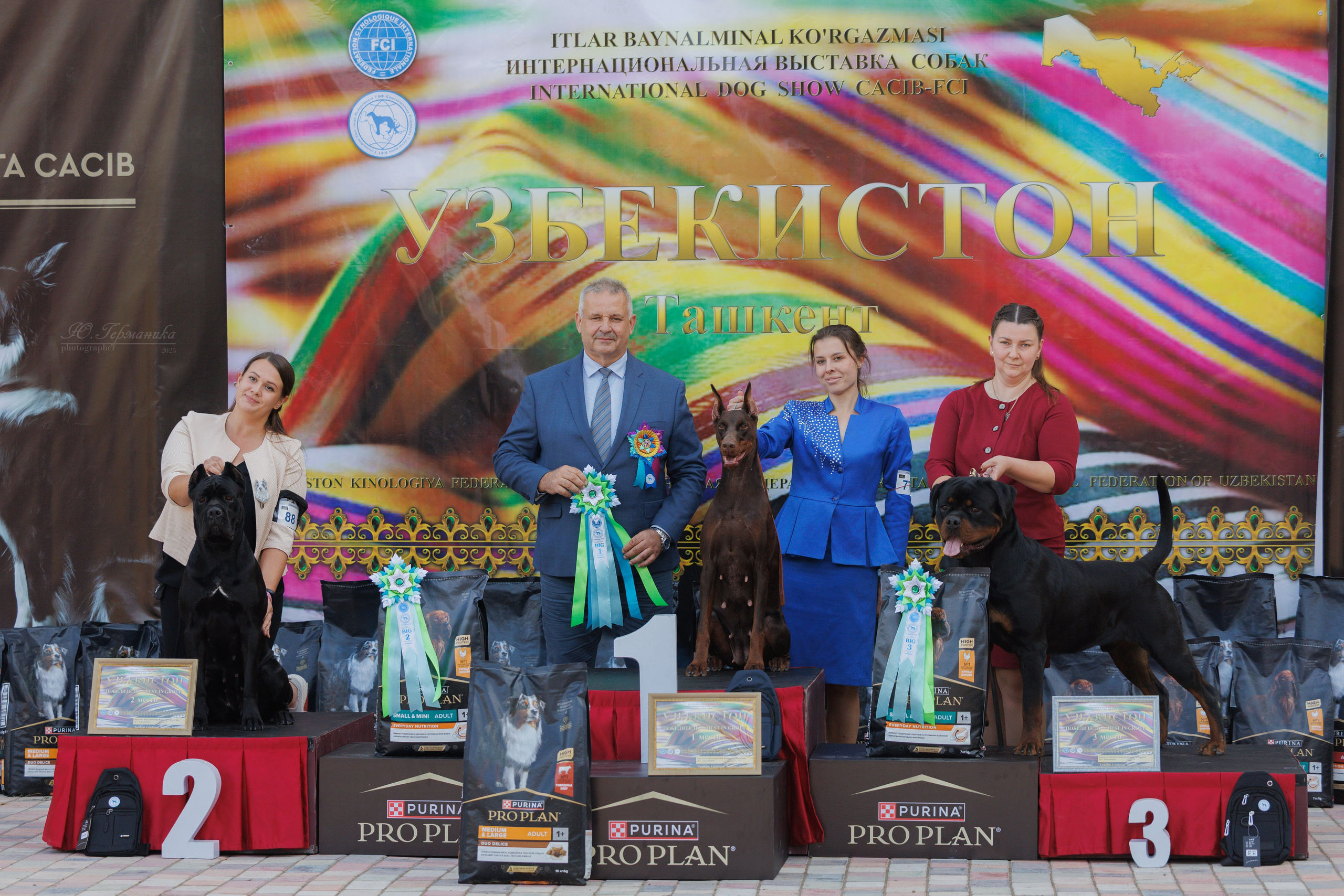 Ташкент 3хCACIB 3-5.10.2025. Фотограф-анималист Юлия Германика