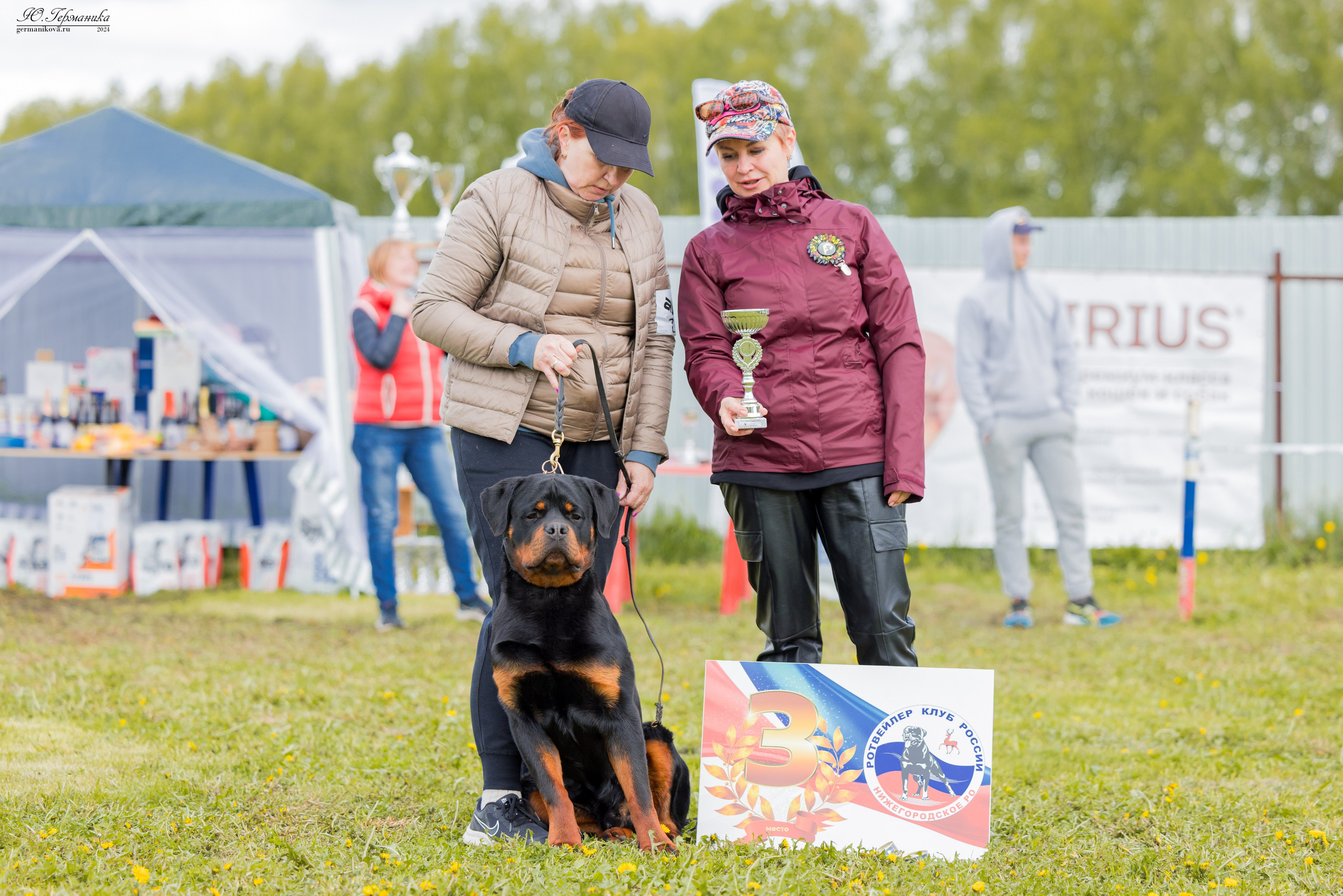 Нижний Новгород 11-12.05.2024 моно ротвейлеров. Фотограф-анималист Юлия Германика