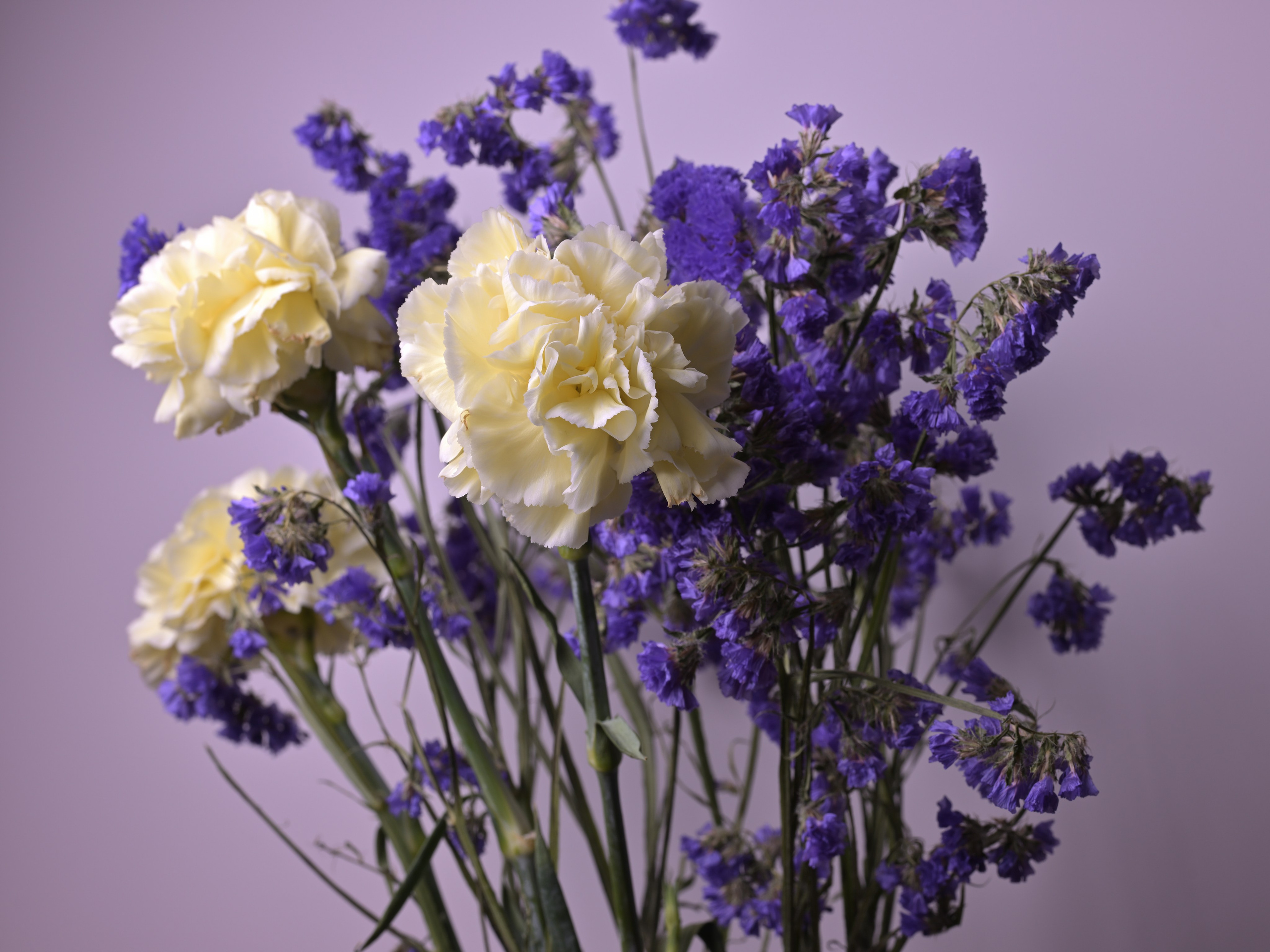 Натюрморты. Сергей Люльченко фотоальбом