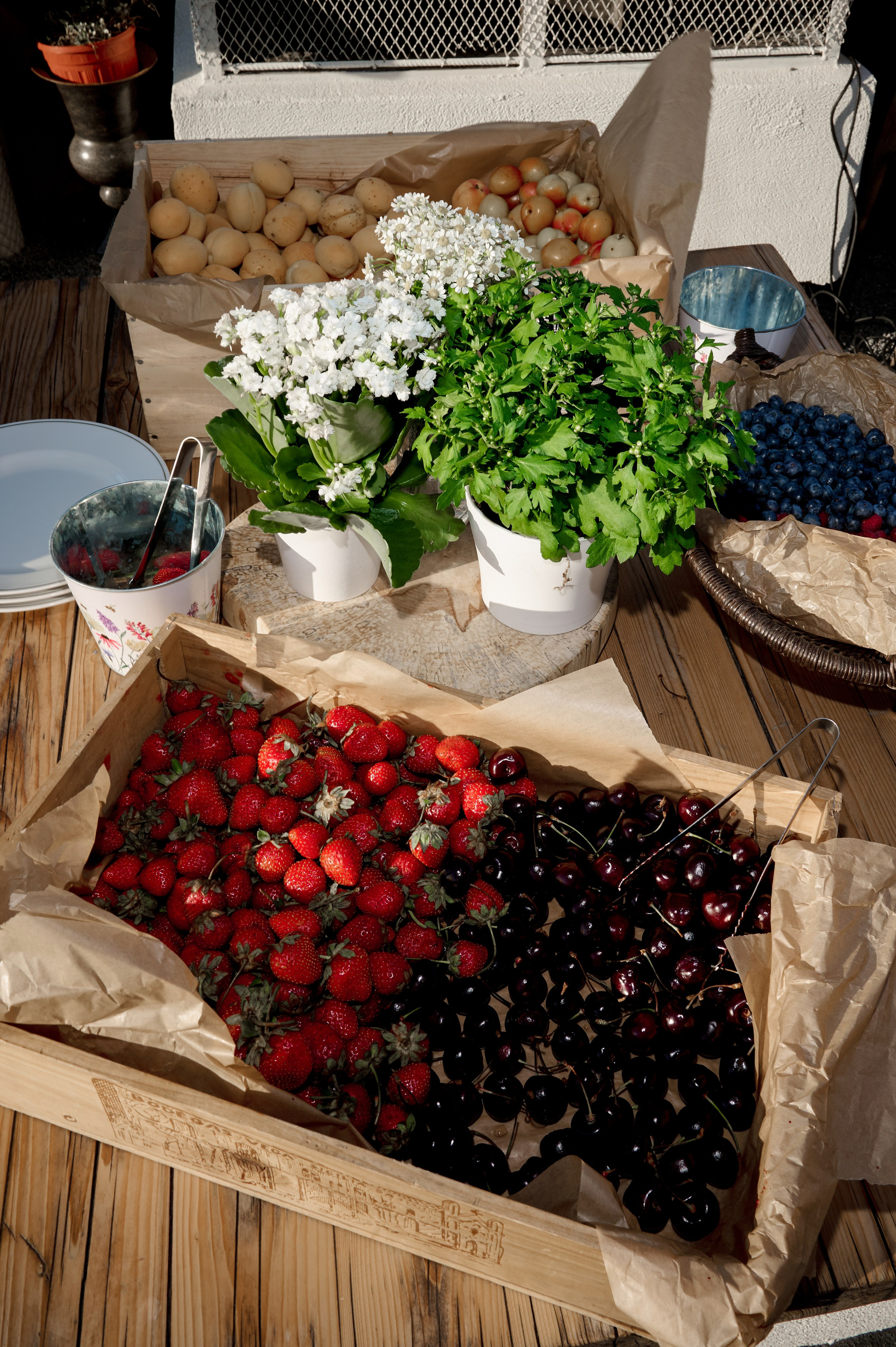 Лето на крыше! ДР. Вадим Зюков Фотограф Москва