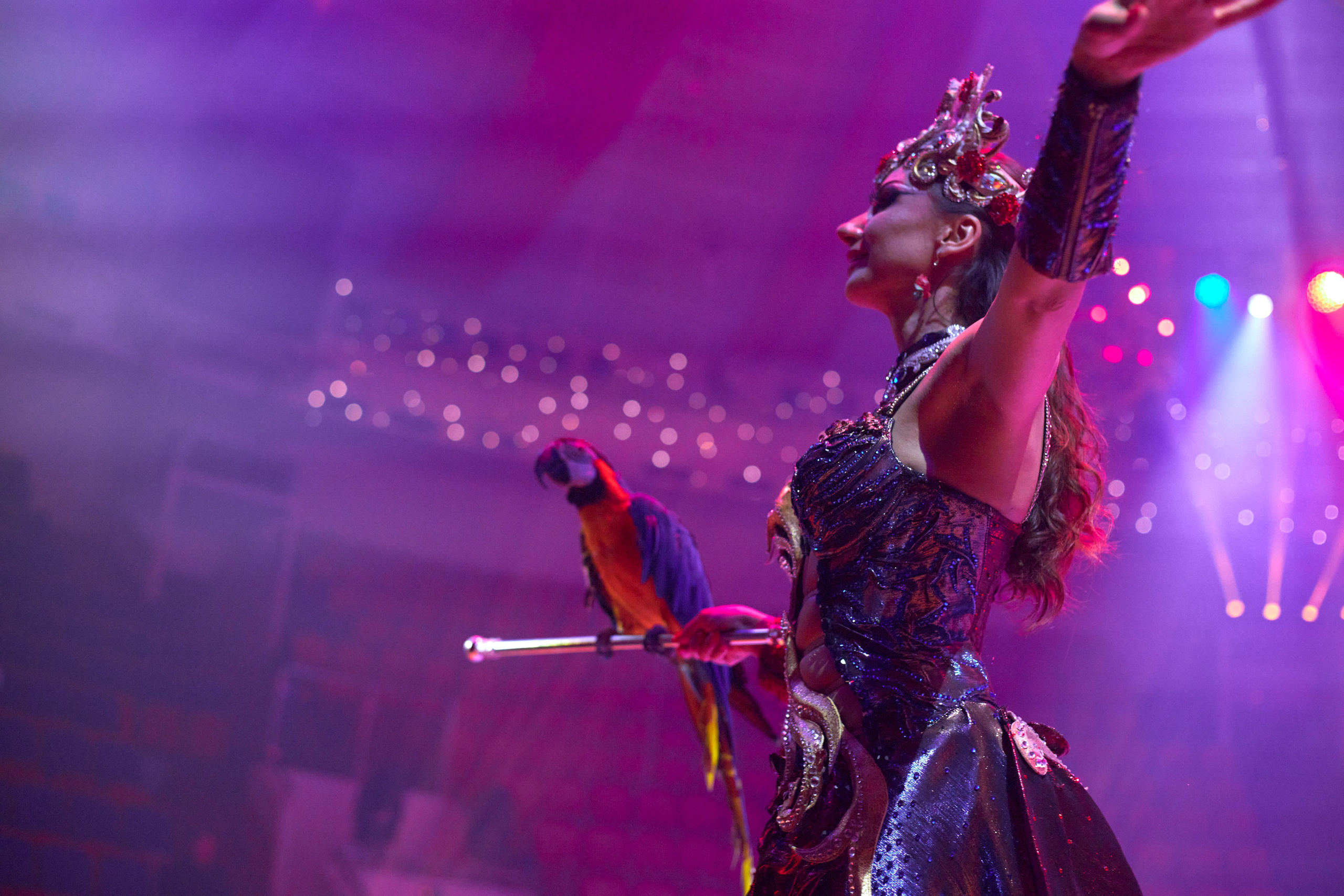 Съёмка Мероприятий. Фото и видеосъёмка в Ярославле | Грибов Медиа контент студия  — от 2500 ₽/час