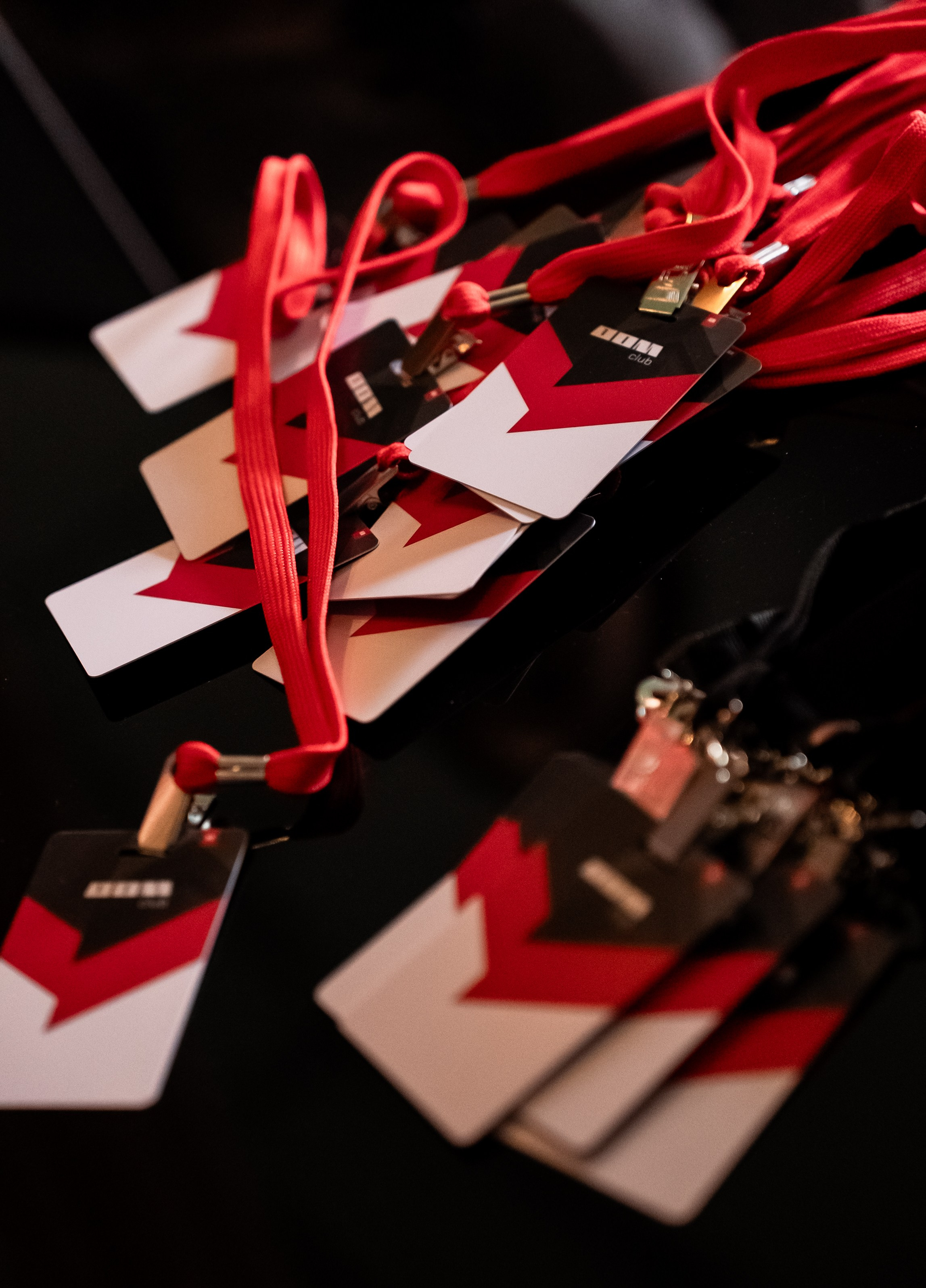 Cyberdom 24.03.2025. Свадебный и семейный фотограф Москва