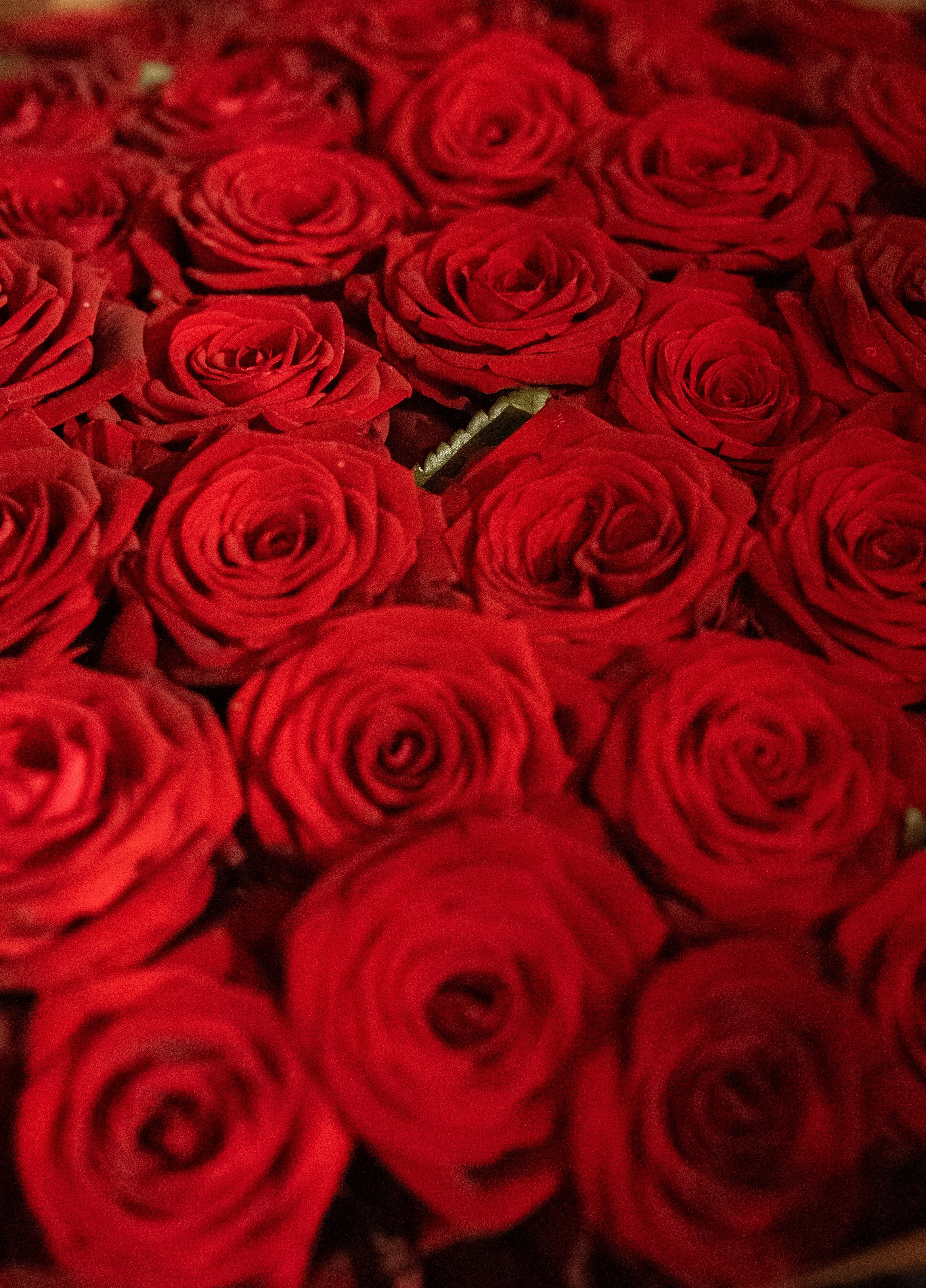 Goelro Loft 15.03.2025. Свадебный и семейный фотограф Москва