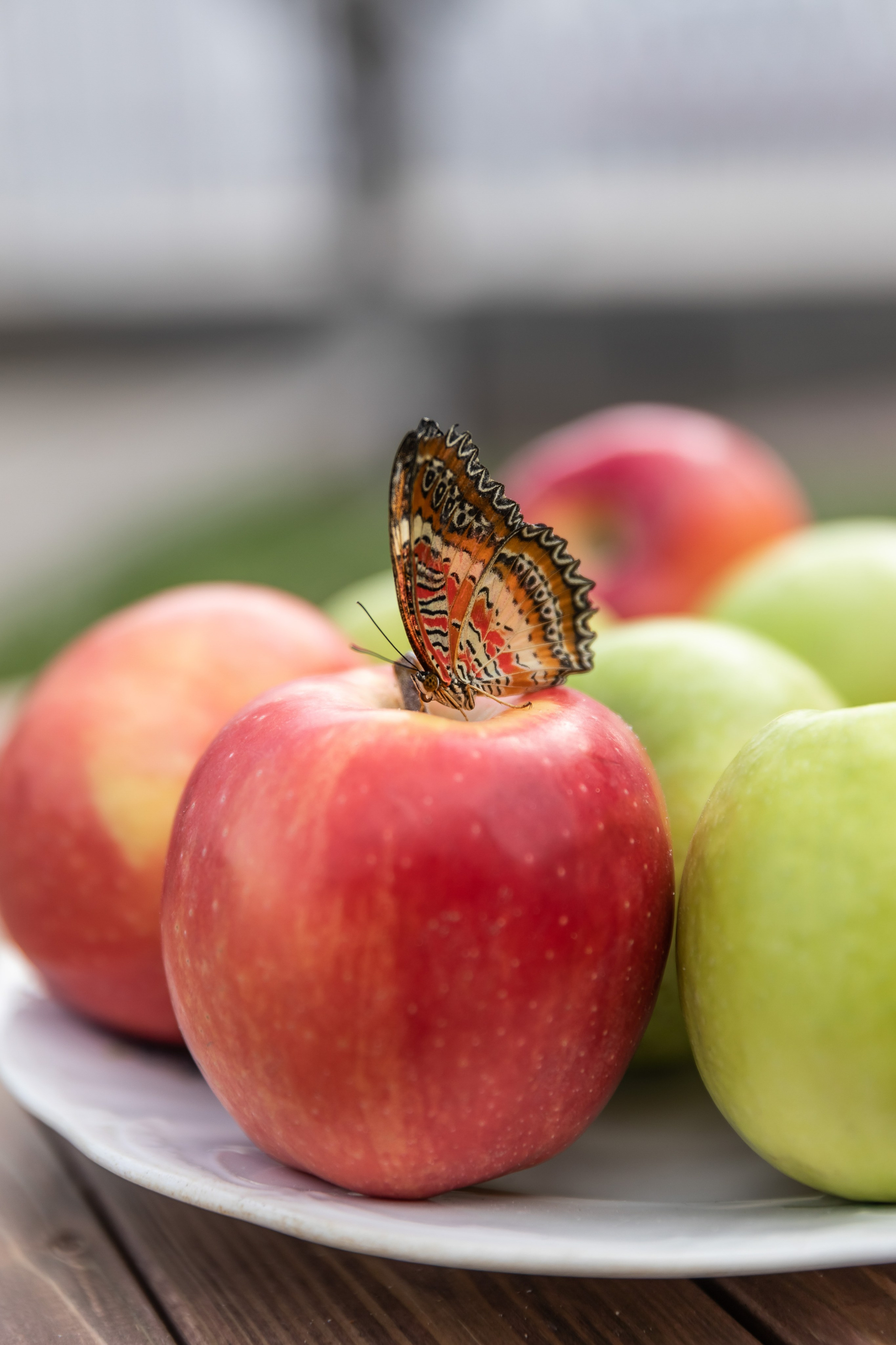 Съемка для проекта: Театрализованный ужин «Один летний день» в отеле Wawelberg. NesterovaMaria.ru
