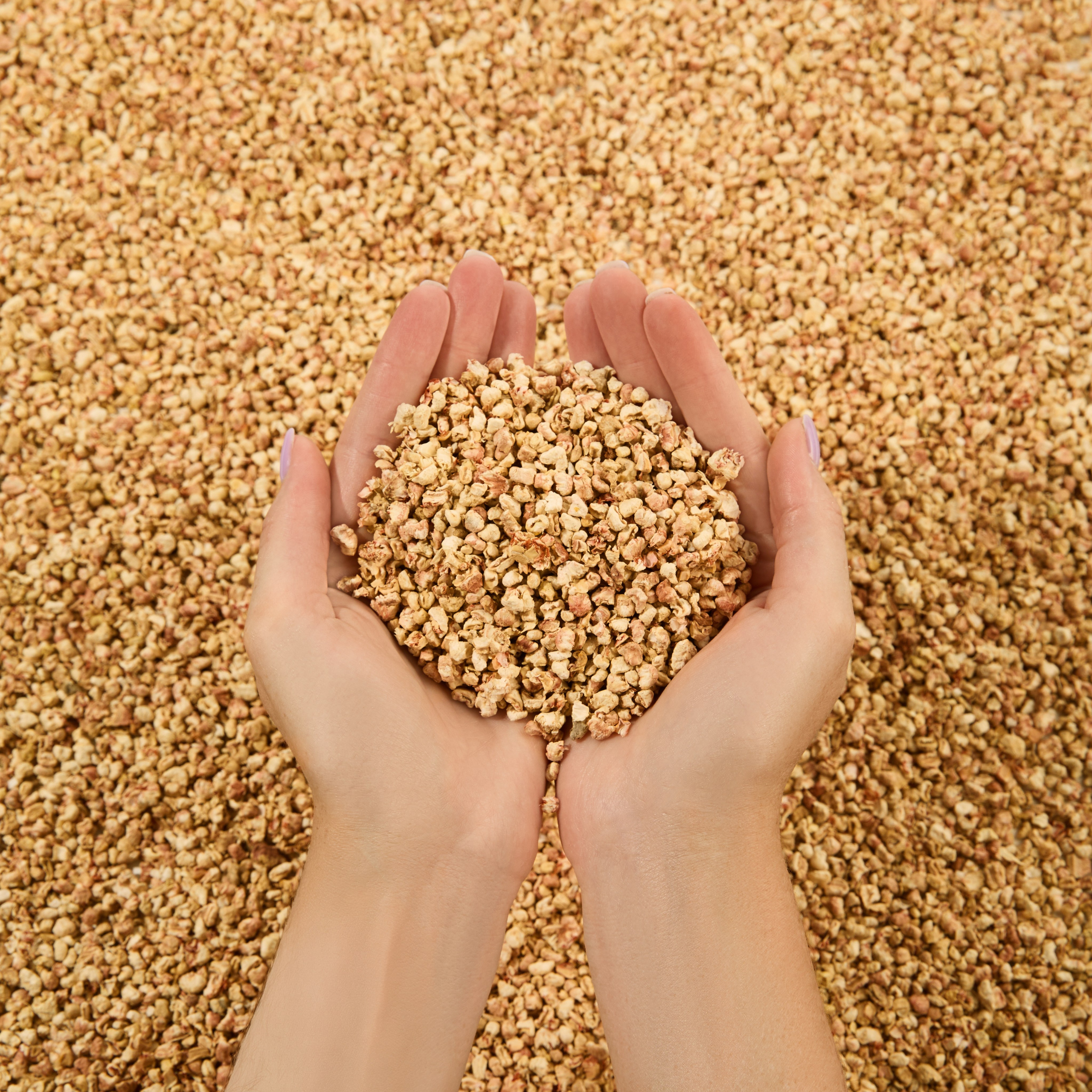 Предметная съемка товаров для животных. Съемка товаров для животных. Предметная съемка. Предметный фотограф Орехово-Зуево