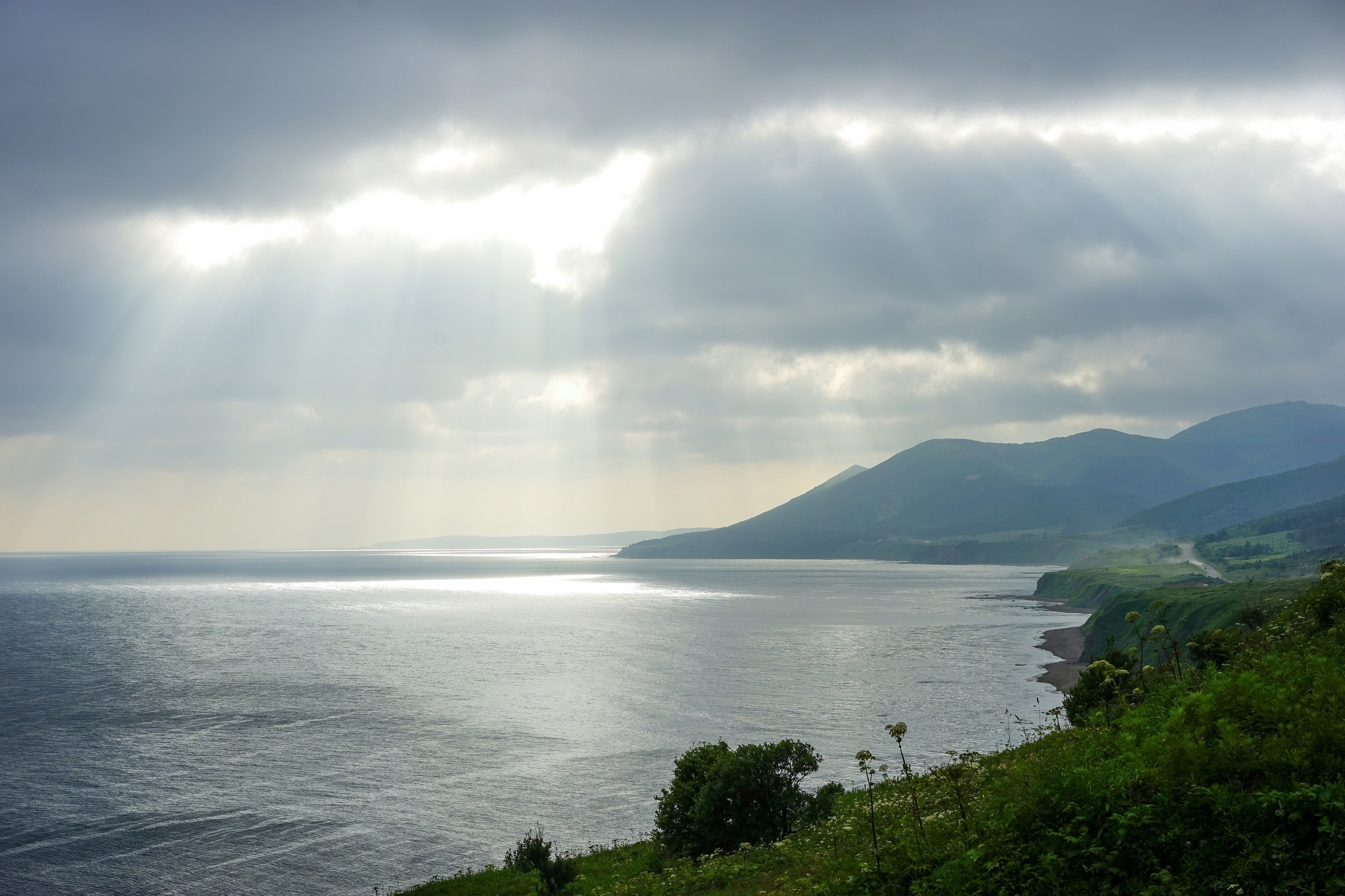 Сахалин. ZAGLADIN Bureau