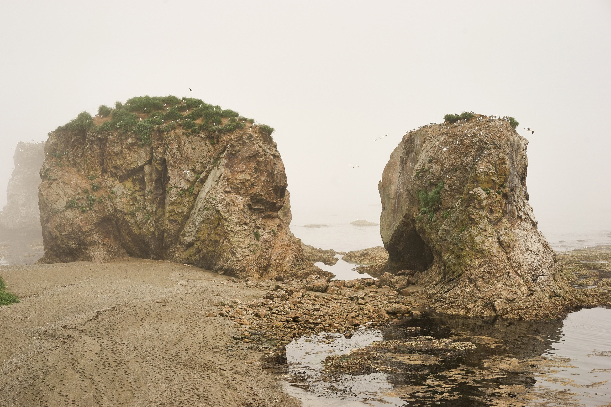 Сахалин. ZAGLADIN Bureau