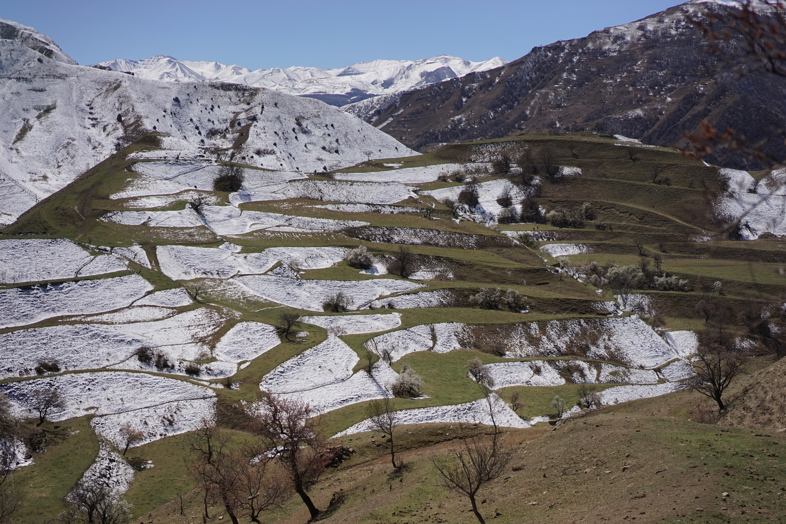 Дагестан. ZAGLADIN Bureau