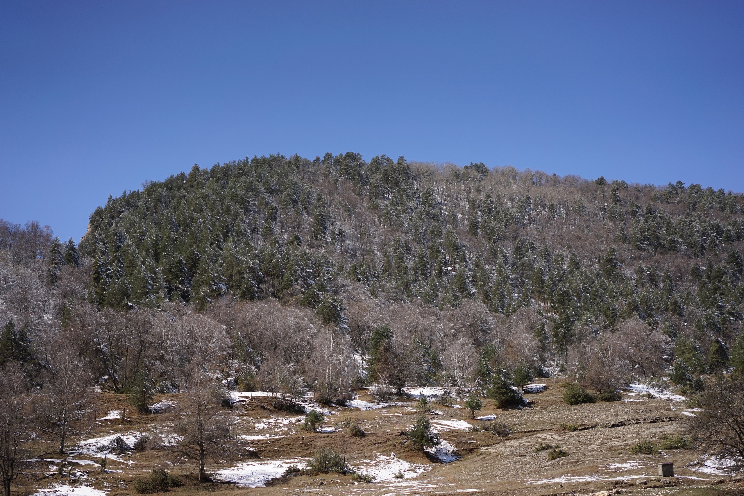 Дагестан. ZAGLADIN Bureau
