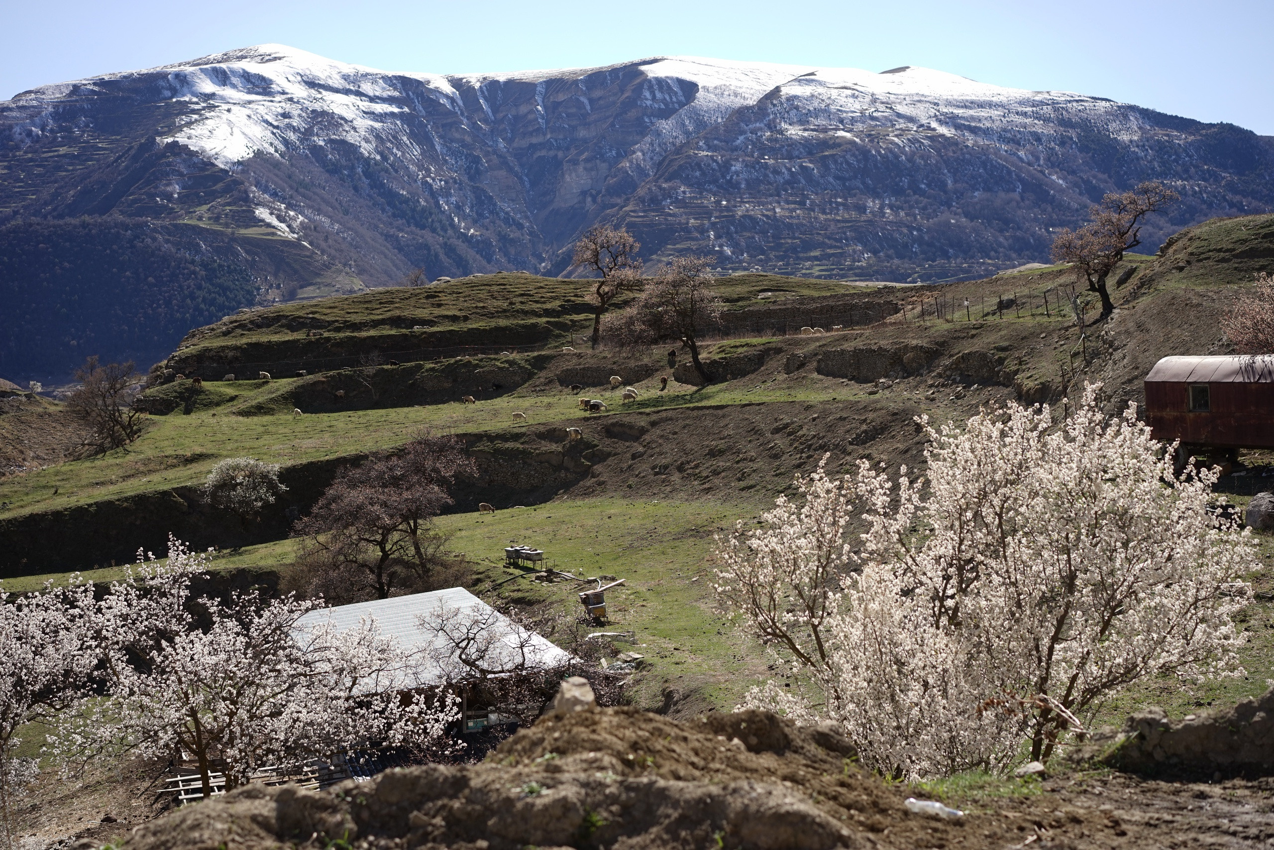 Дагестан. ZAGLADIN Bureau