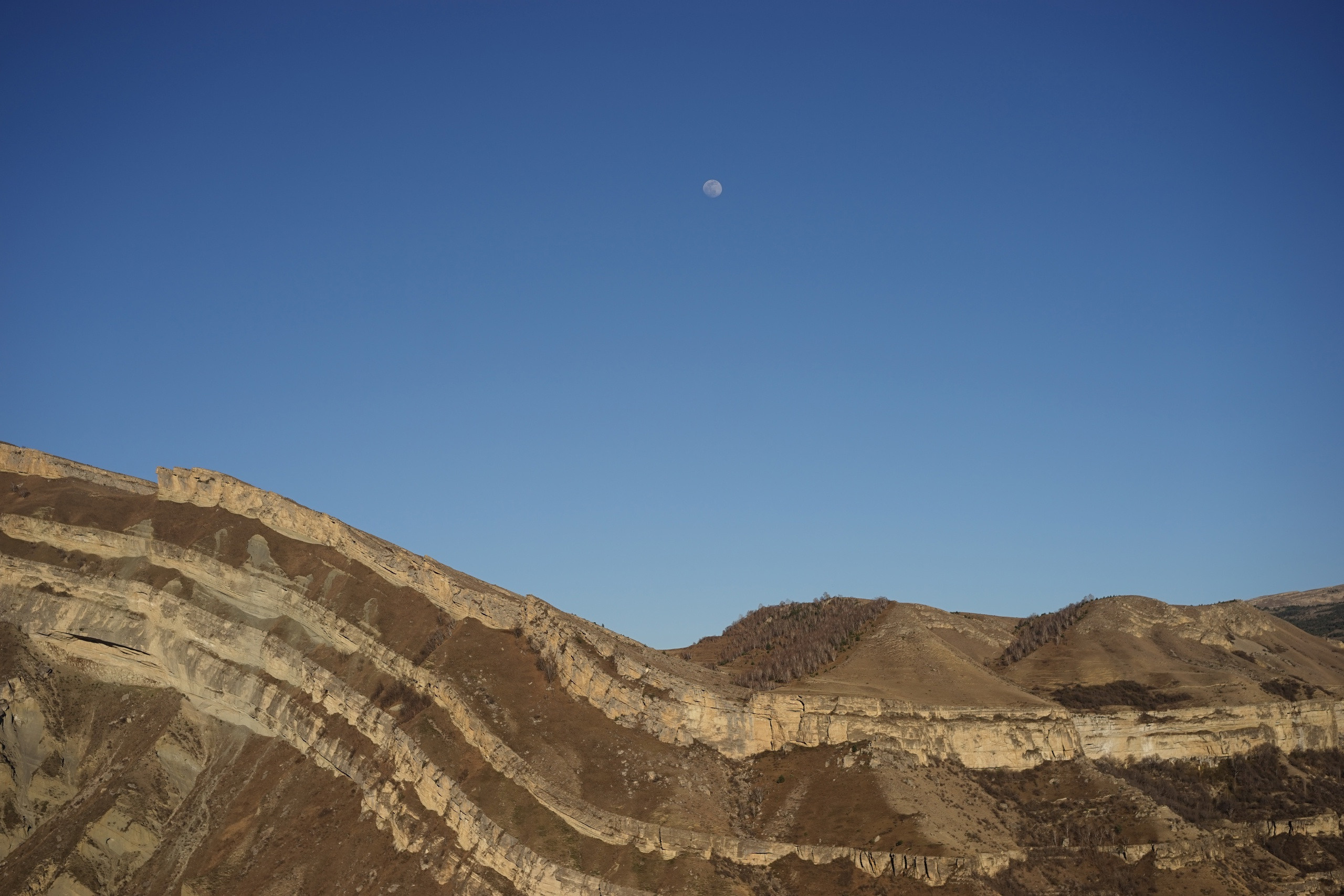 Дагестан. ZAGLADIN Bureau