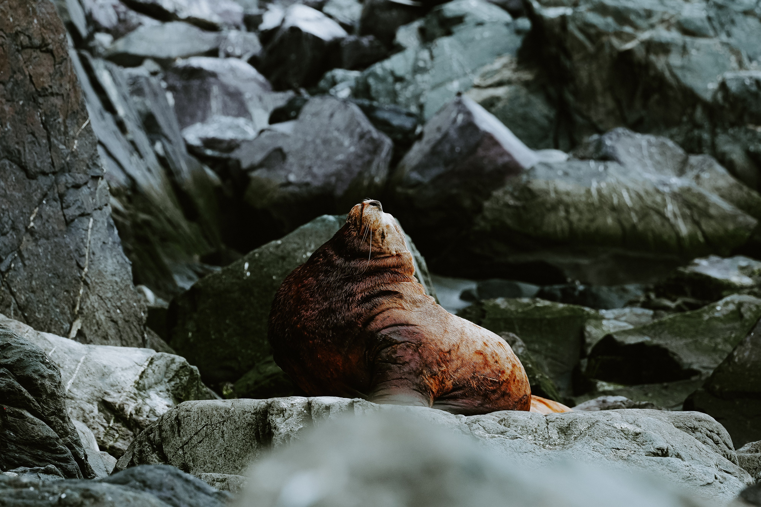 Фотограф Москва