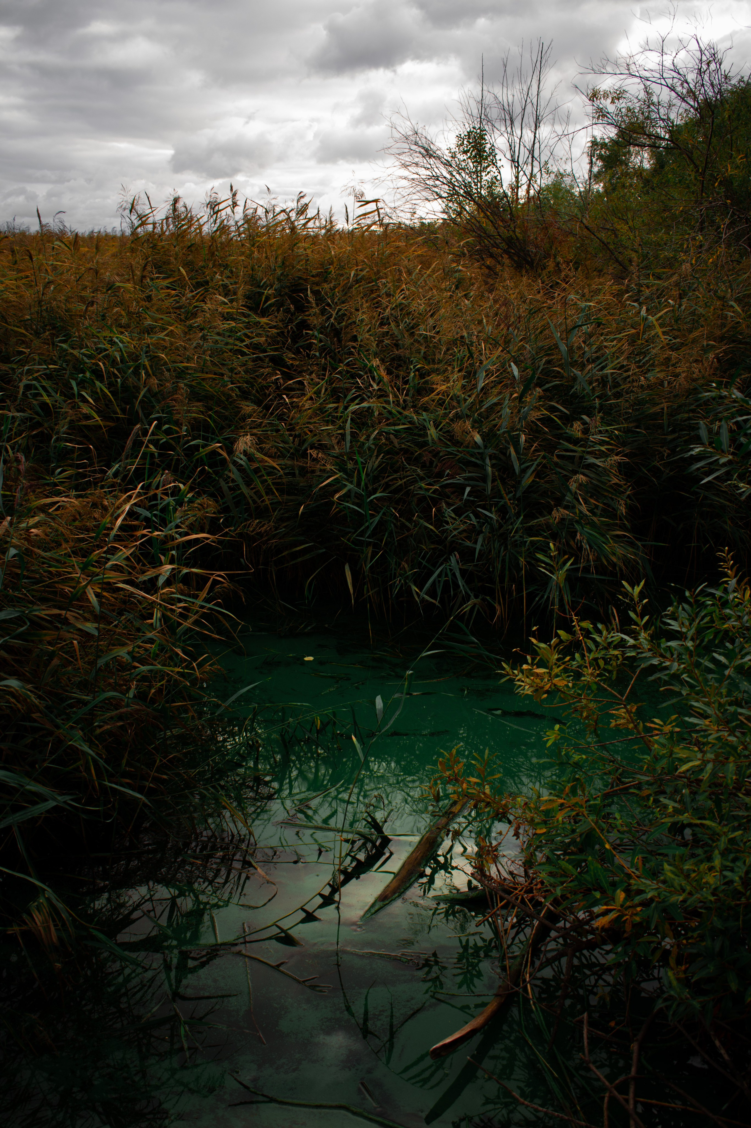 Фотограф/видеограф Богдан Голованов