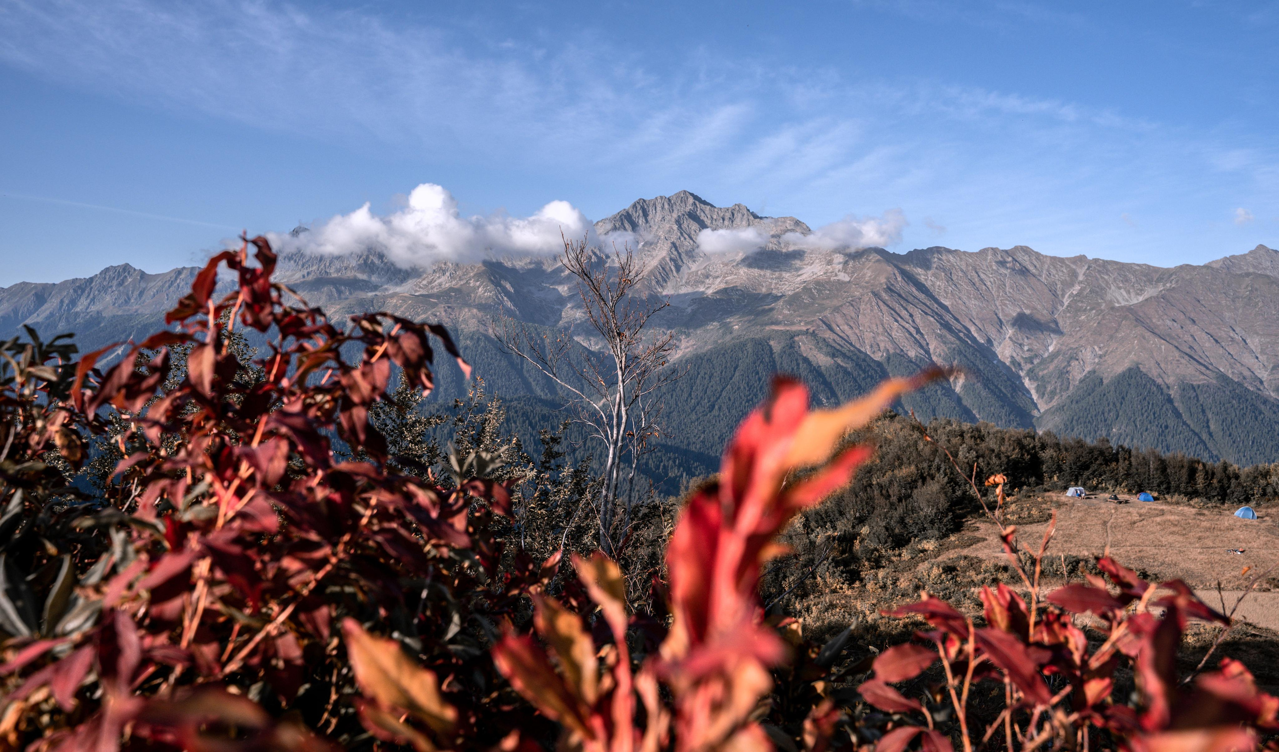 Russia | Krasnaya Polyana