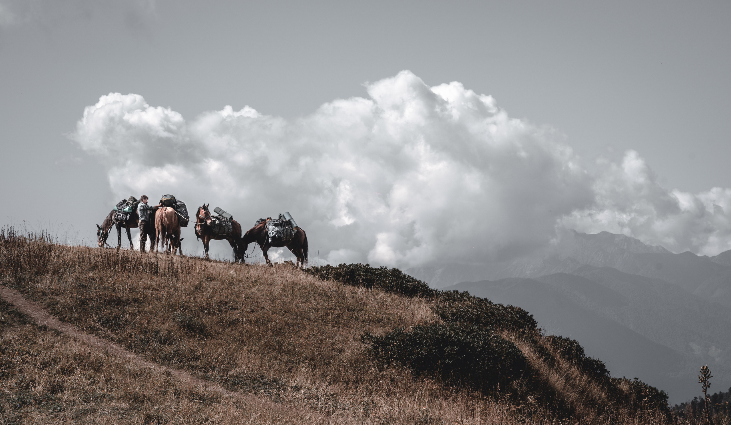 Russia | Krasnaya Polyana