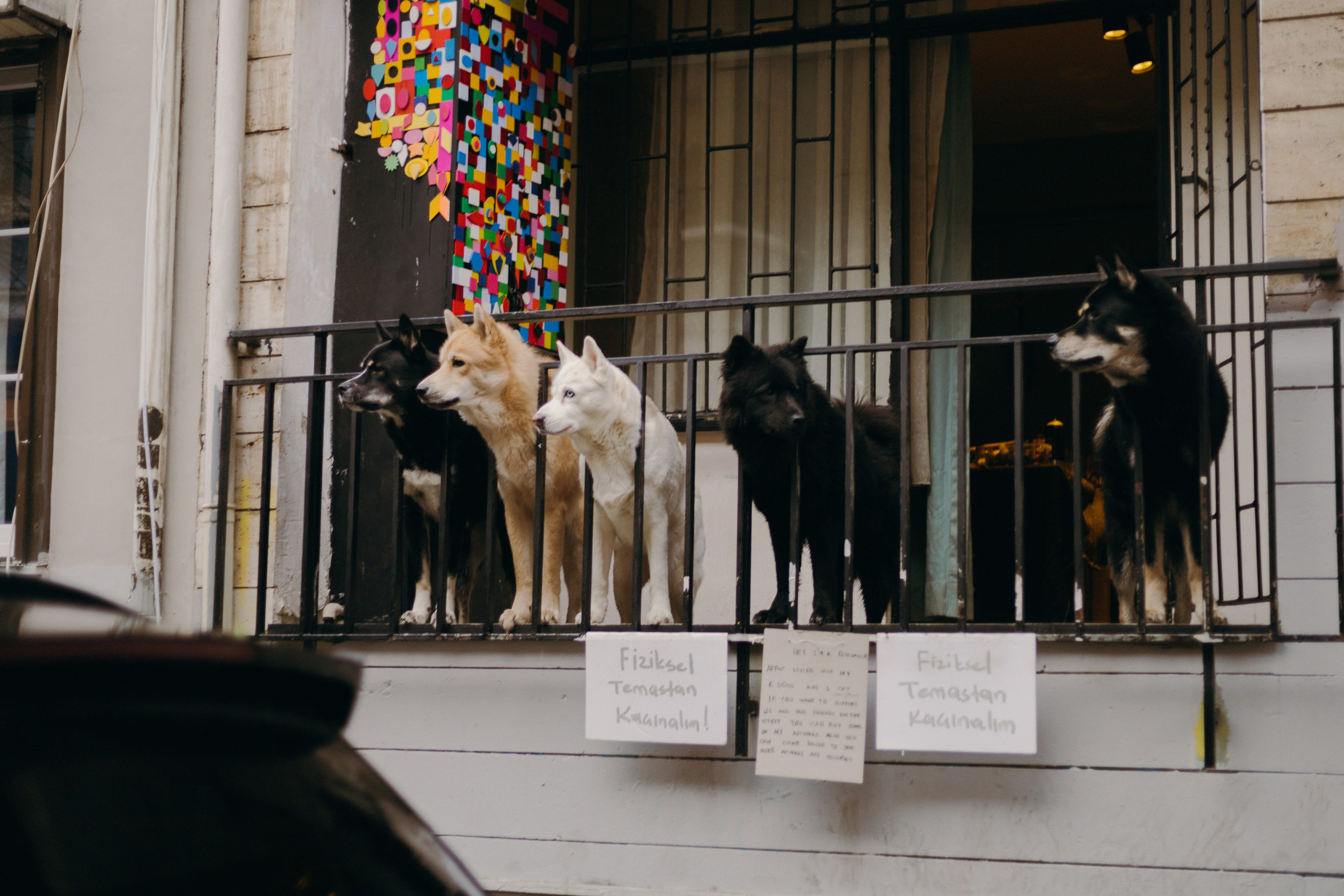 Стамбул. Профессиональный Фотограф во Владимире, в Москве и в Суздале — Полина Романычева