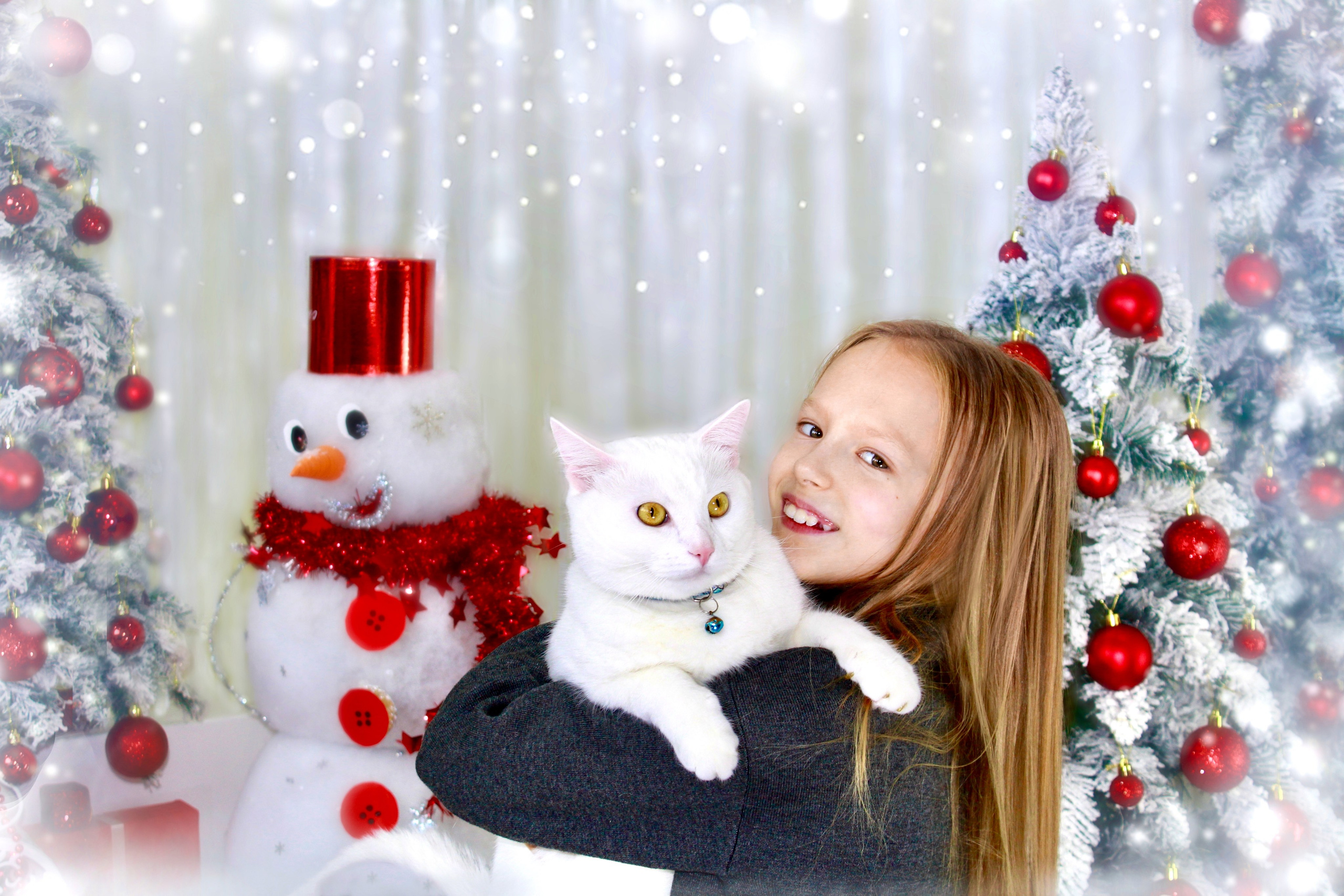 Новогодняя фотосессия. Портфолио