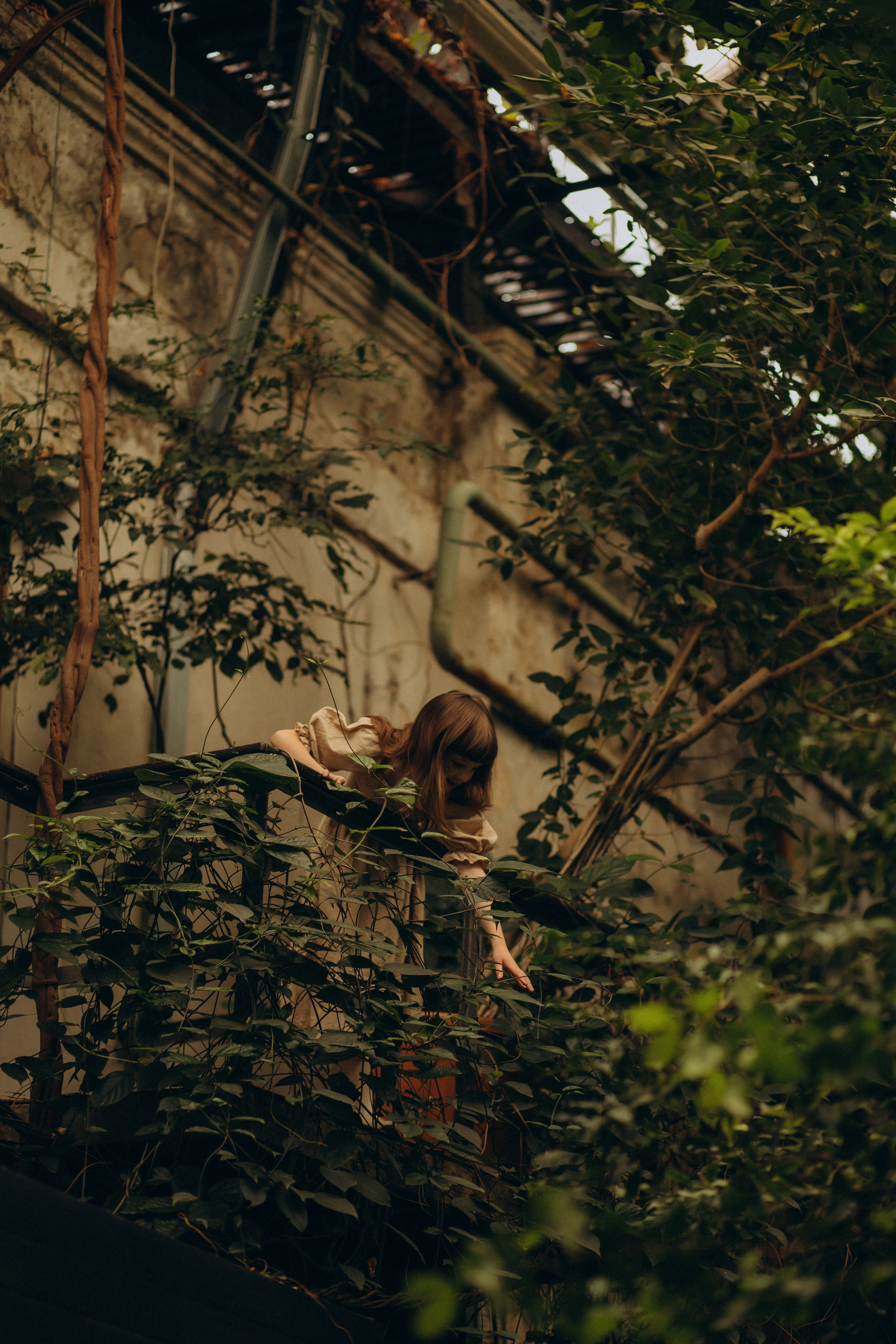 Оранжерея. Ваш фотограф АНАстасия Земскова