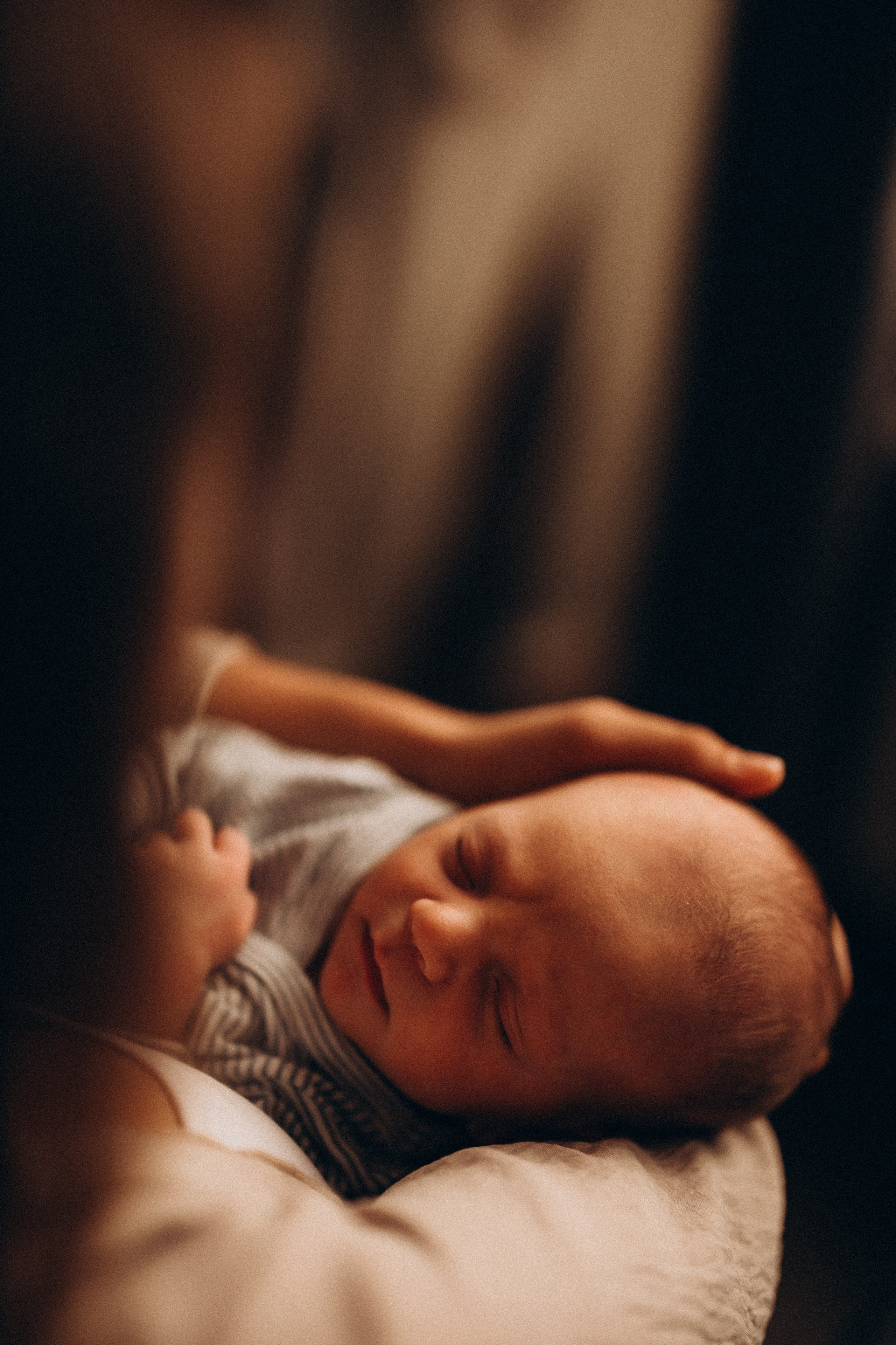 Платон. Евгения Пелипас