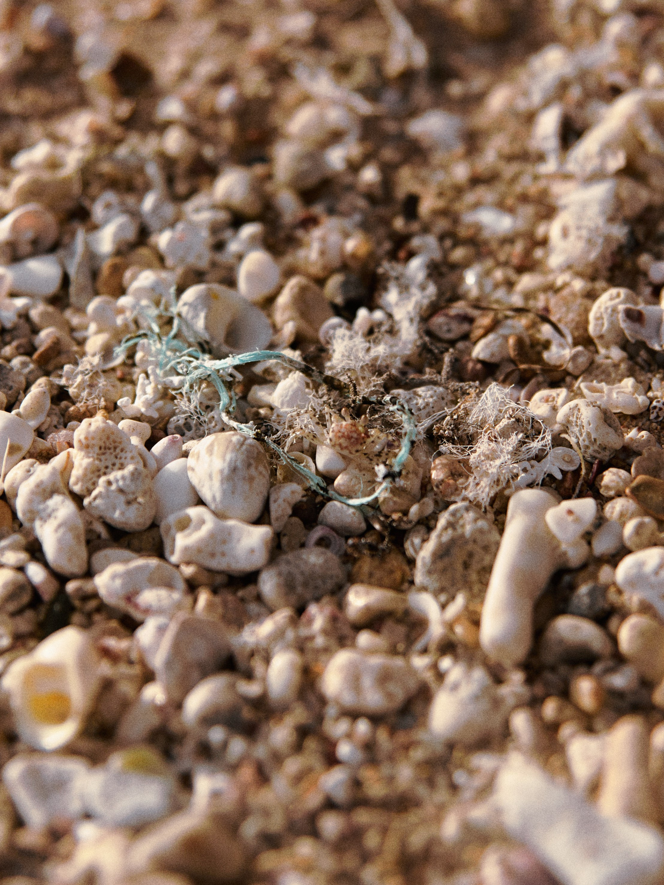 Природа. Jorgis Talè — photographer, kind person, teacher of arts and other mag