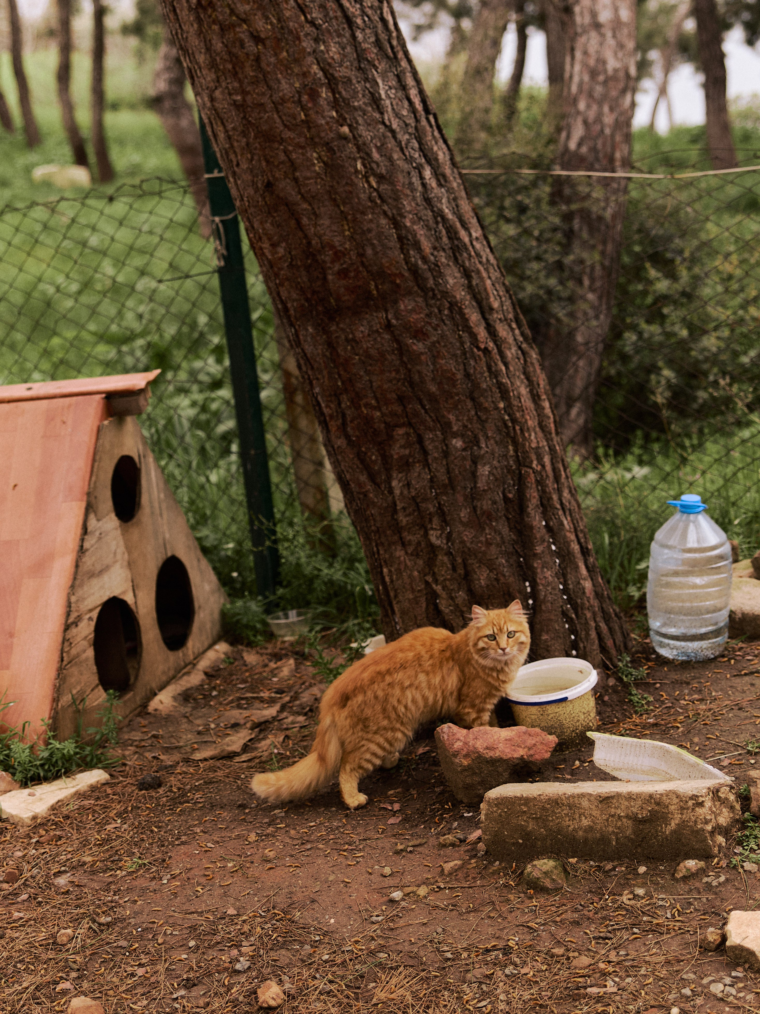 Диптих. Jorgis — фотограф в Хургаде / обучение фотографии