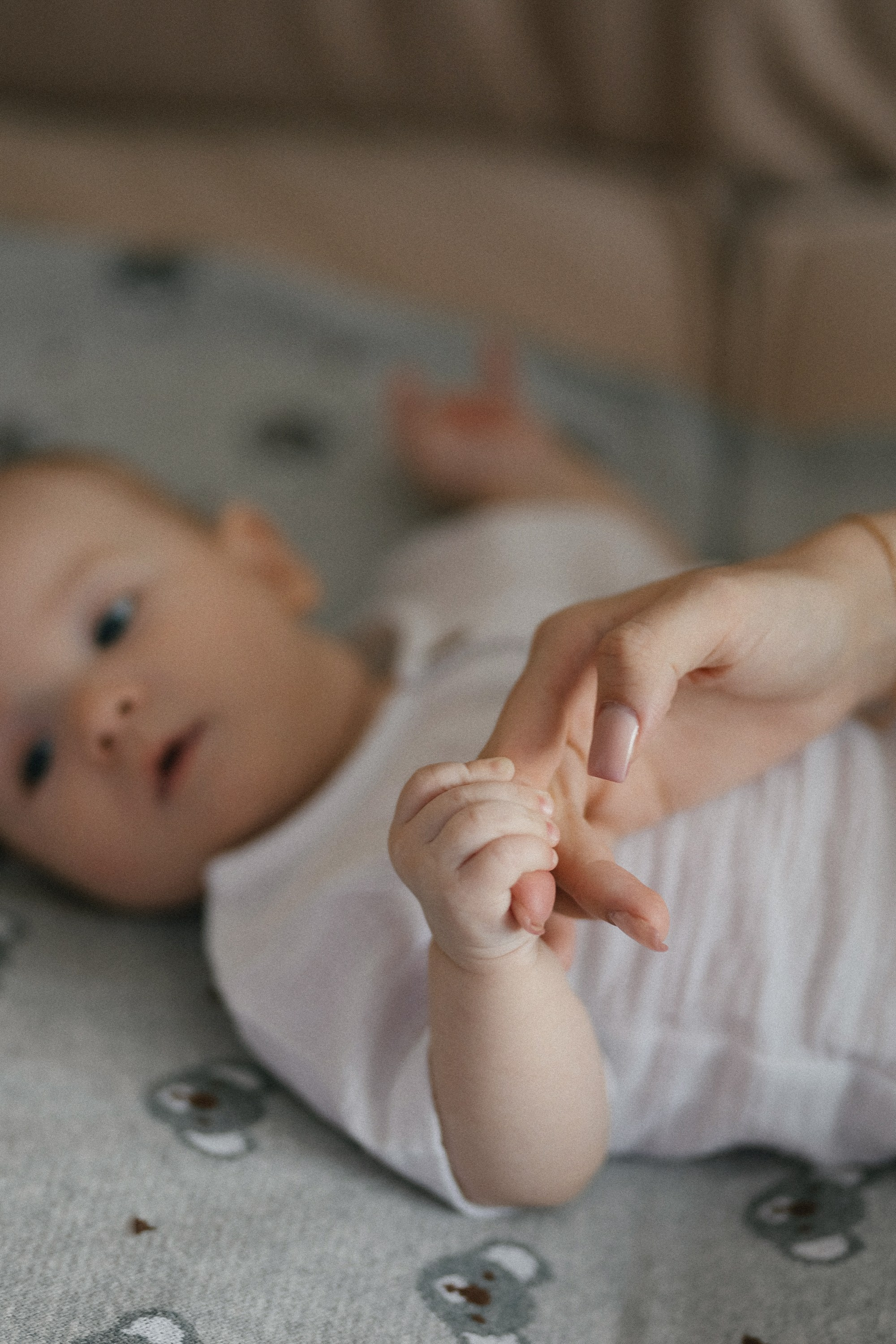 «ДОМА ТЕПЛЕЕ». Maria Startseva Photo