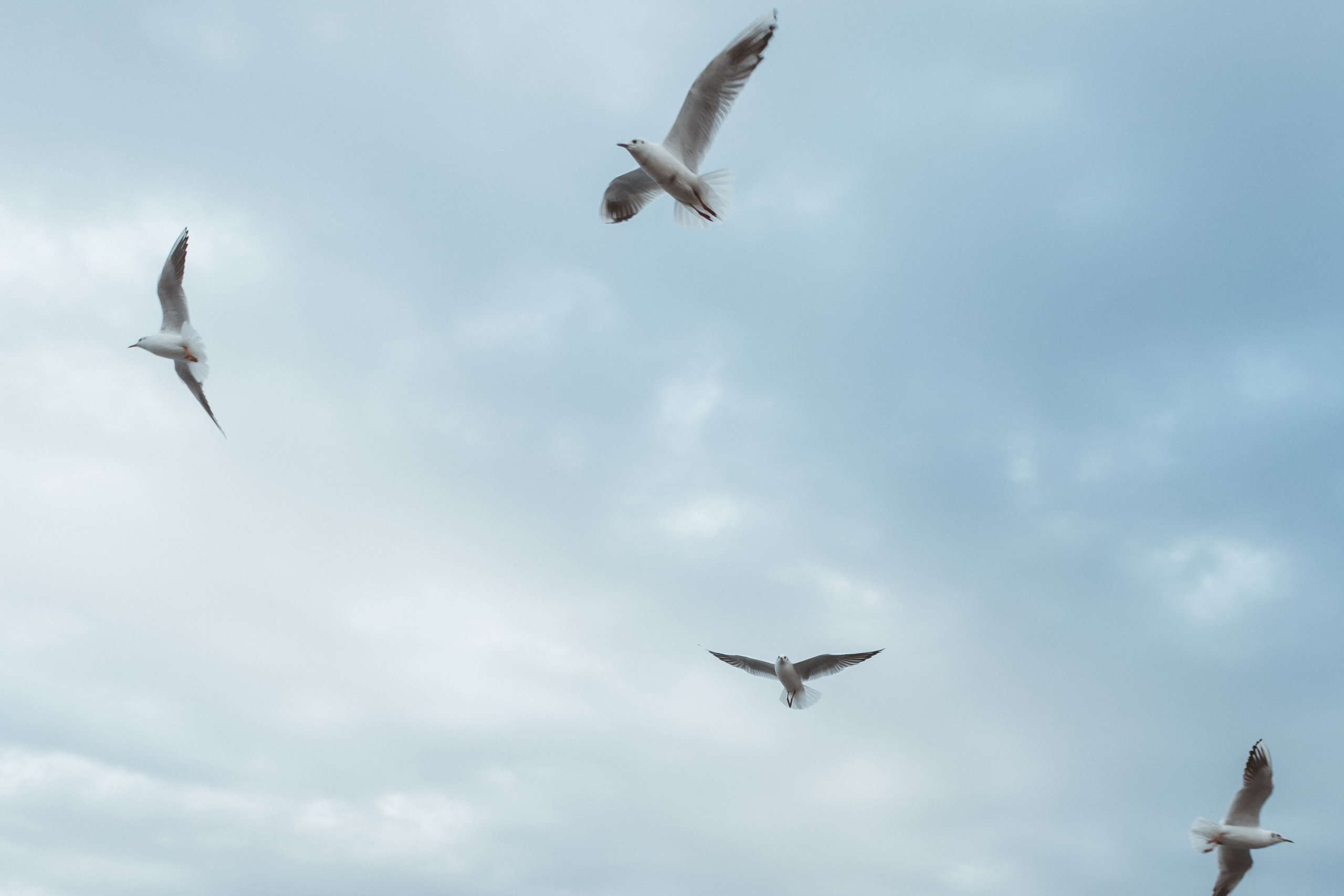 Морской порт. Милана Довгаль - семейный фотограф и видеограф  в Адлере и Сочи