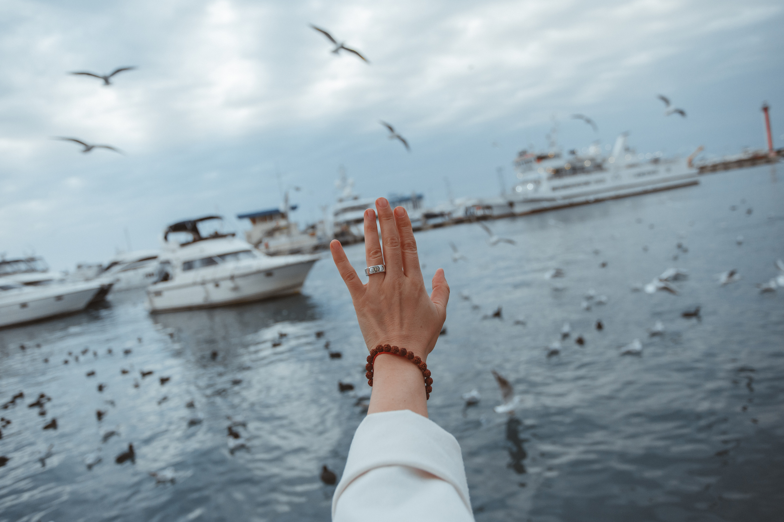 Морской порт. Милана Довгаль - семейный фотограф и видеограф  в Адлере и Сочи