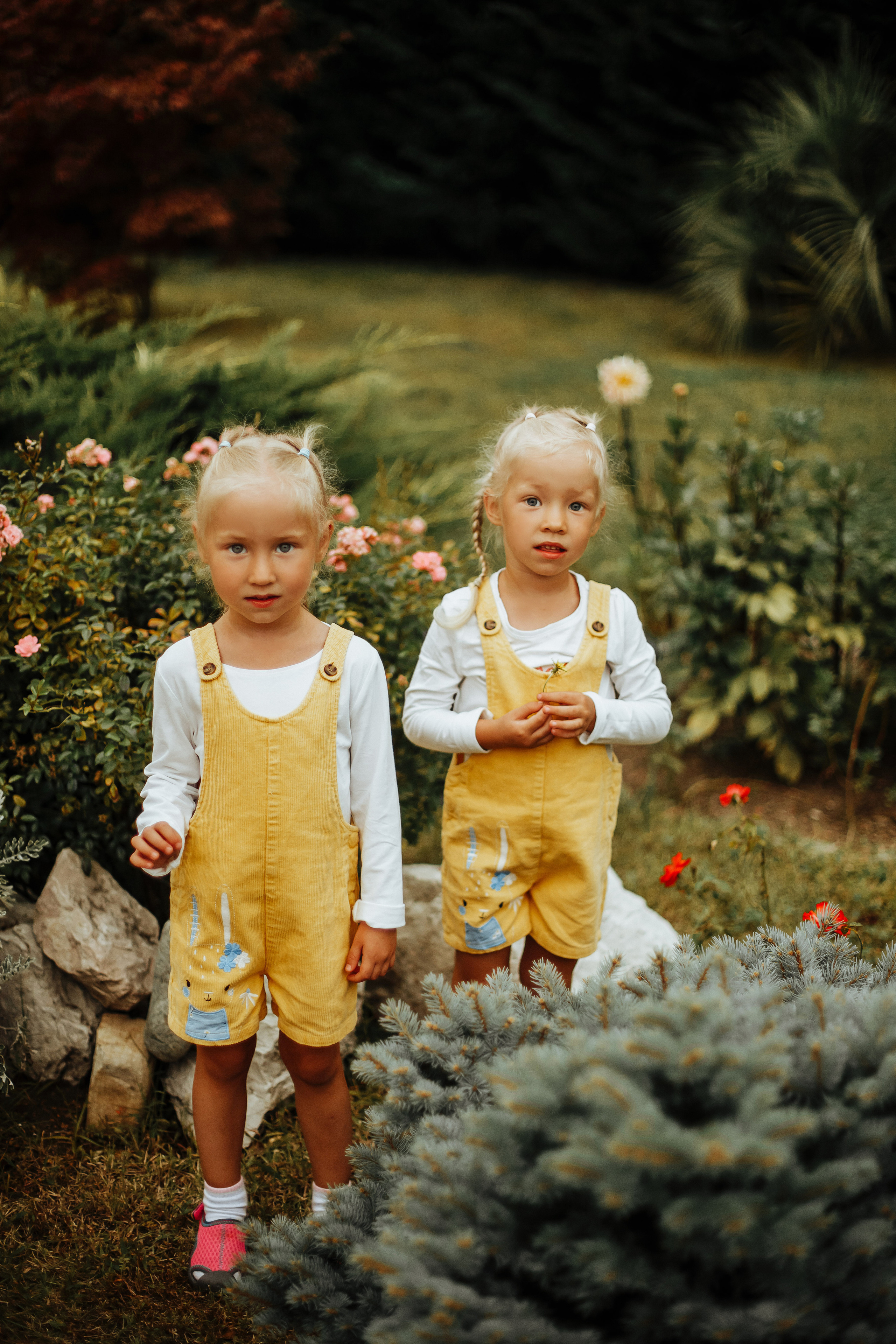 ПАЛЬМЫ+МОРЕ. Милана Довгаль - семейный фотограф и видеограф  в Адлере и Сочи