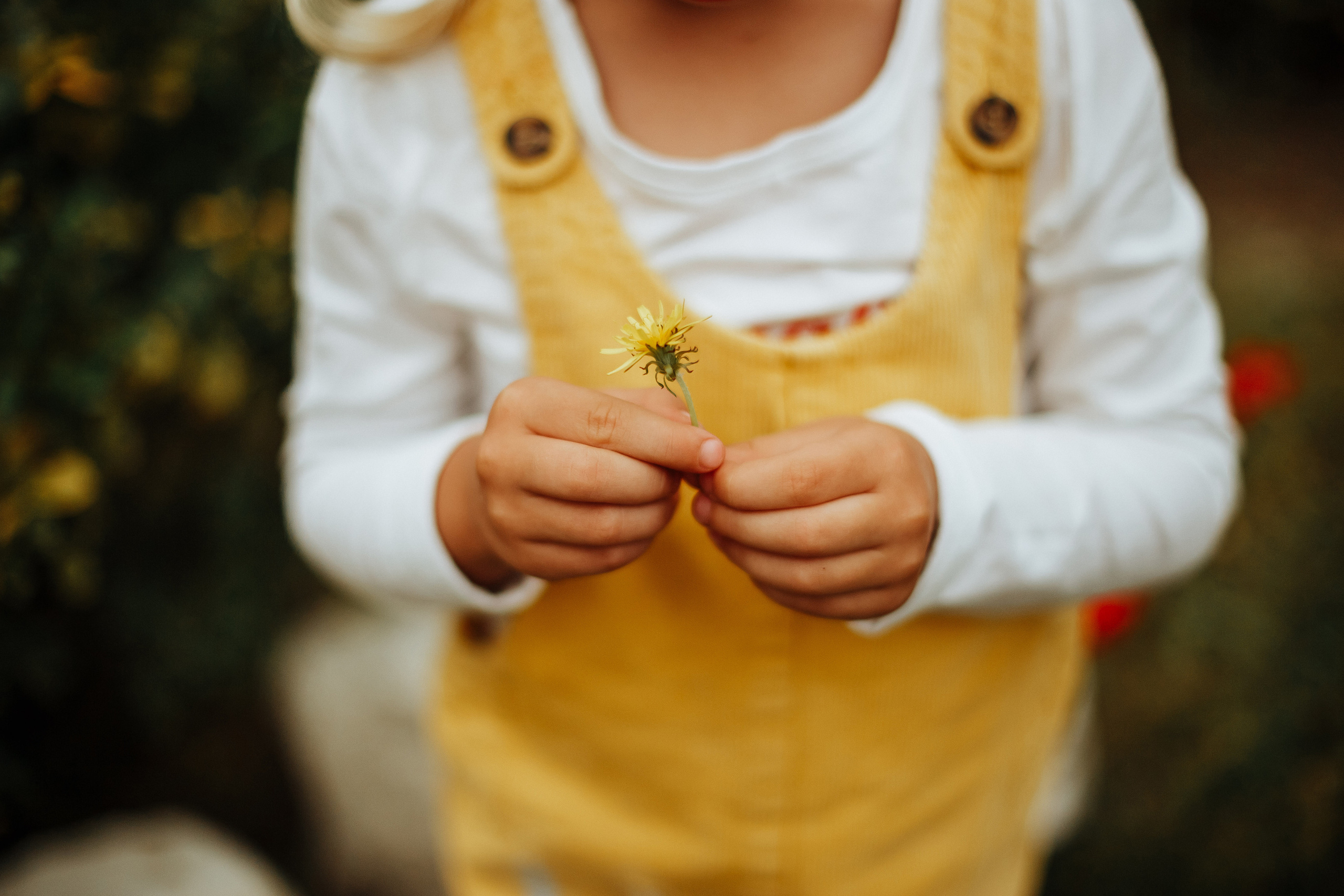 ПАЛЬМЫ+МОРЕ. Милана Довгаль - семейный фотограф и видеограф  в Адлере и Сочи