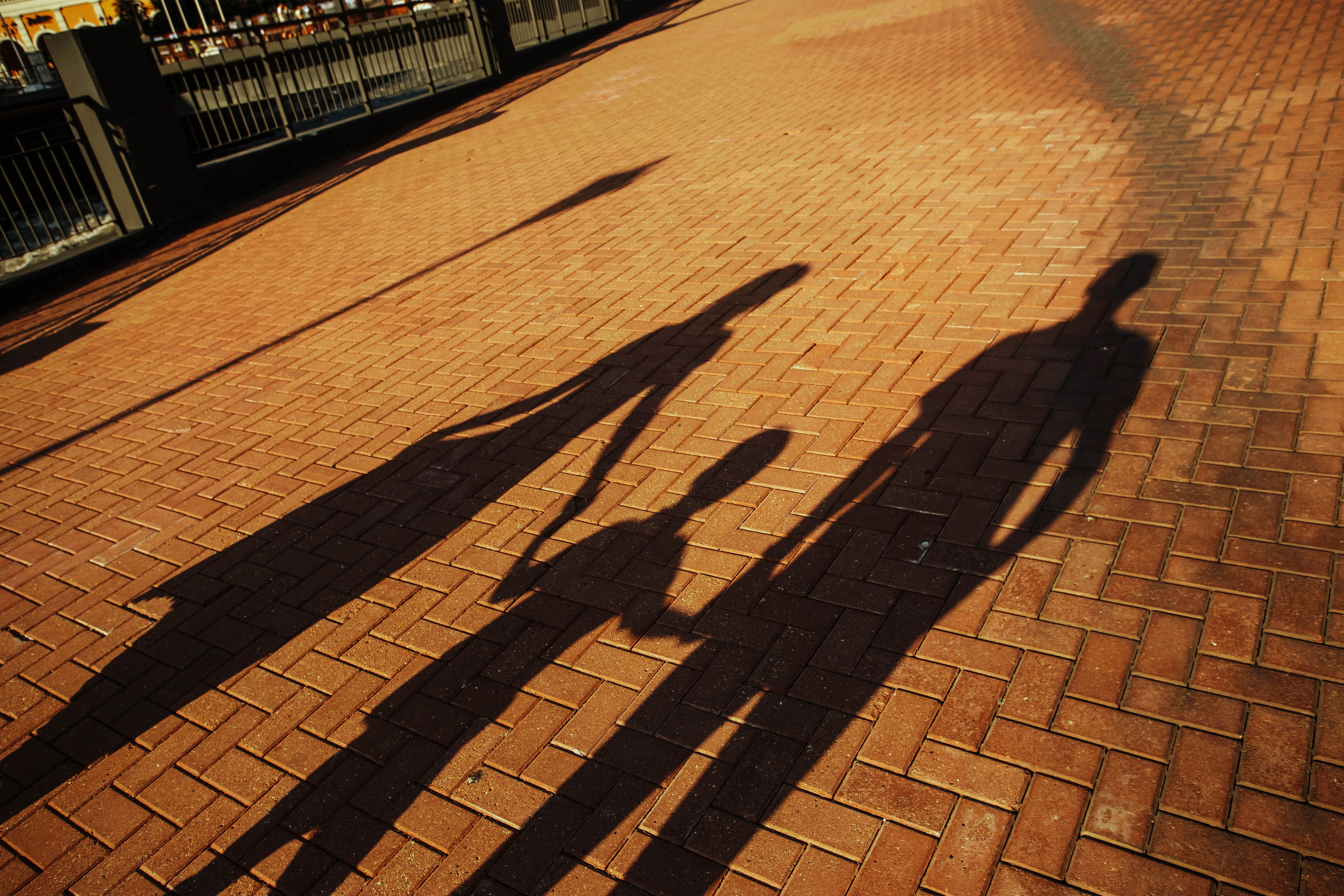 Долина Розы. Милана Довгаль - семейный фотограф и видеограф  в Адлере и Сочи