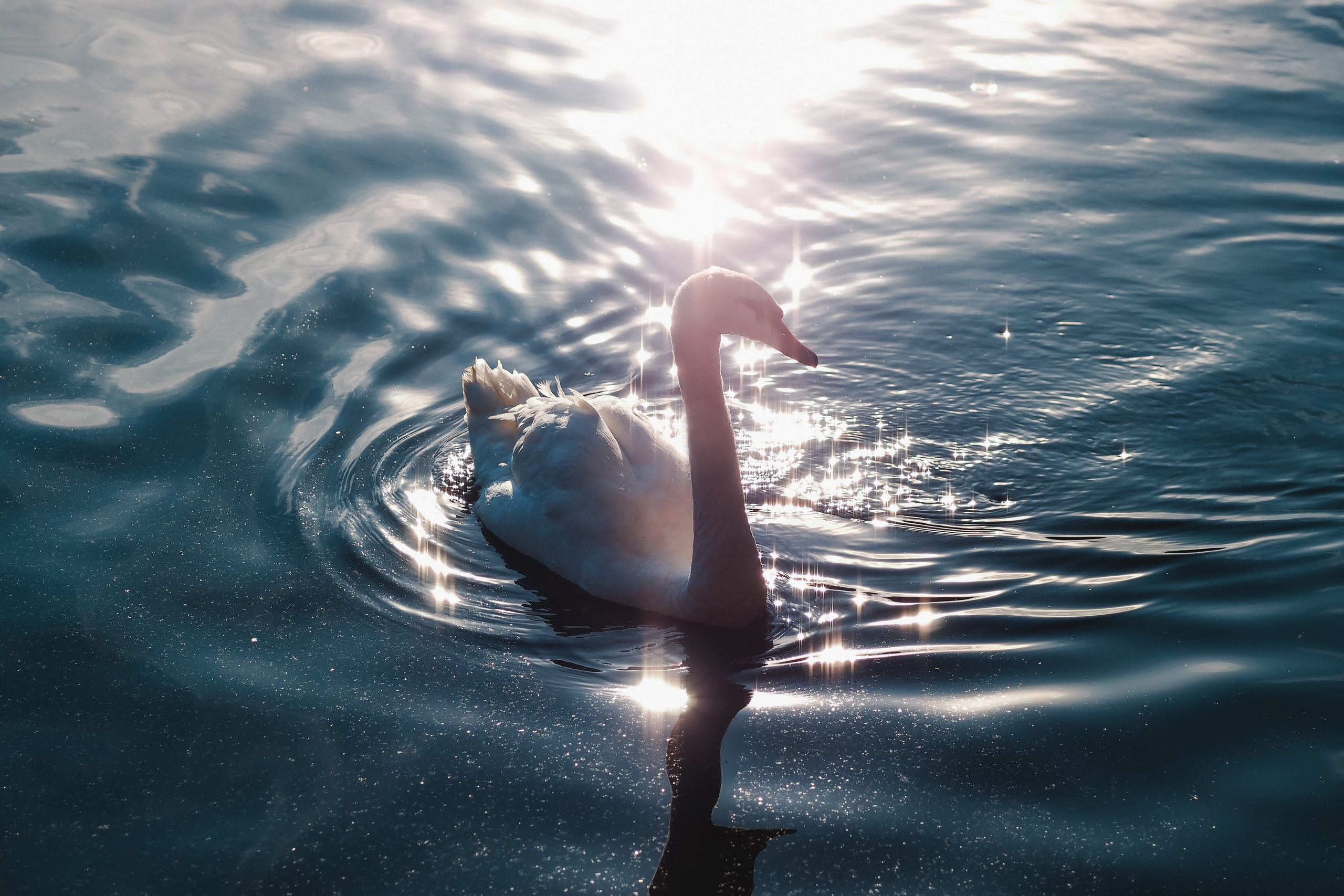 Крестовский остров. Свадебный фотограф Копков Геннадий
