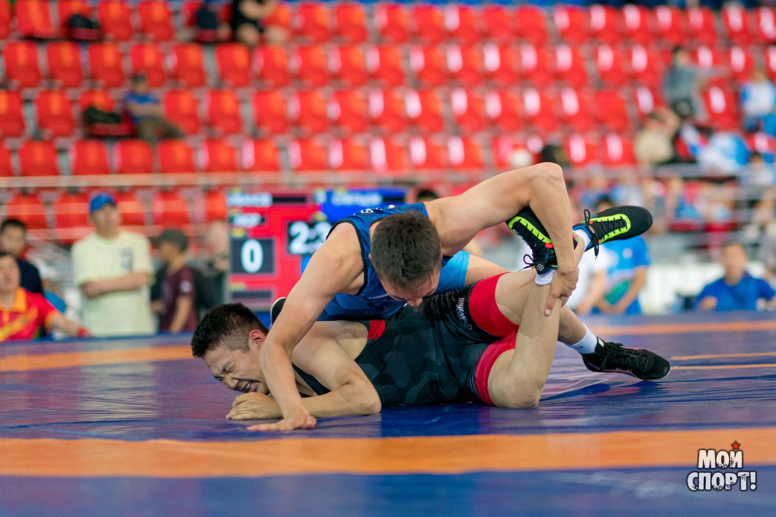 Спартакиада «Спортивные Якутяне». Студия «Мой Спорт!» — все о спорте в Якутии