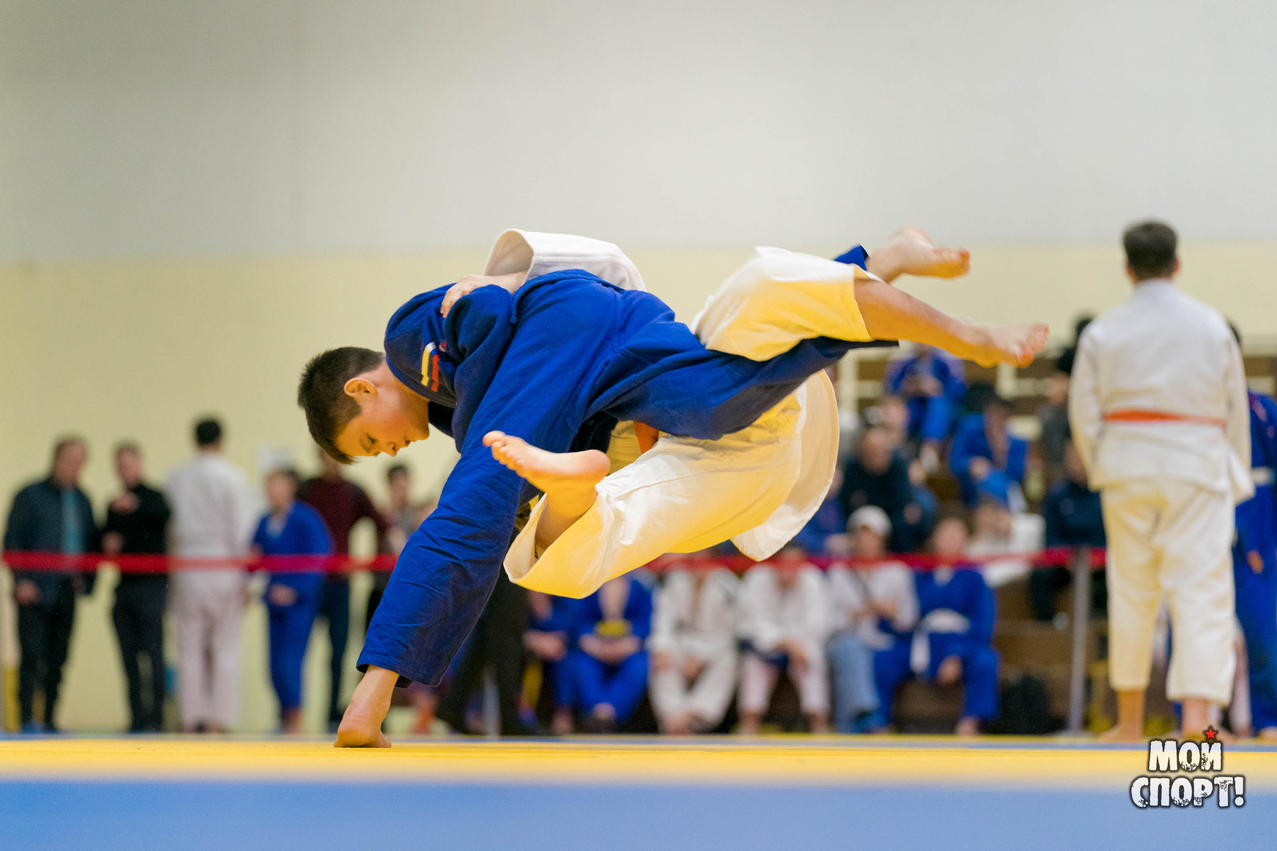 Спартакиада, первенство и чемпионат РС (Я) по дзюдо. Студия «Мой Спорт!» — все о спорте в Якутии