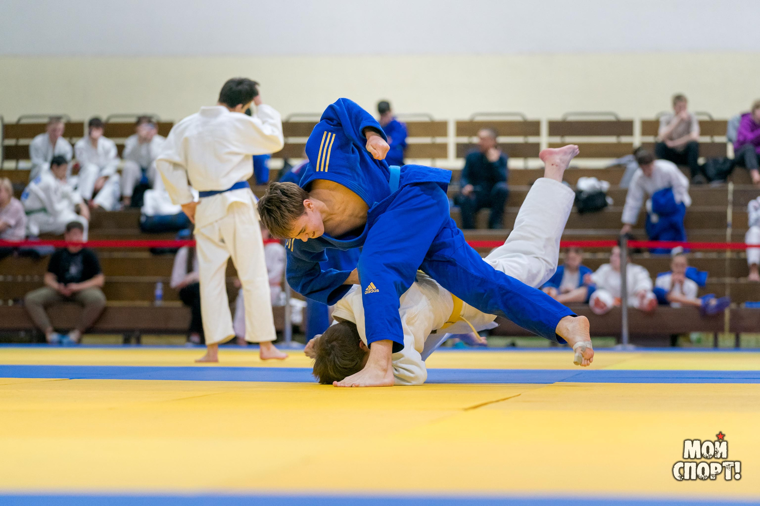 Спартакиада, первенство и чемпионат РС (Я) по дзюдо. Студия «Мой Спорт!» — все о спорте в Якутии