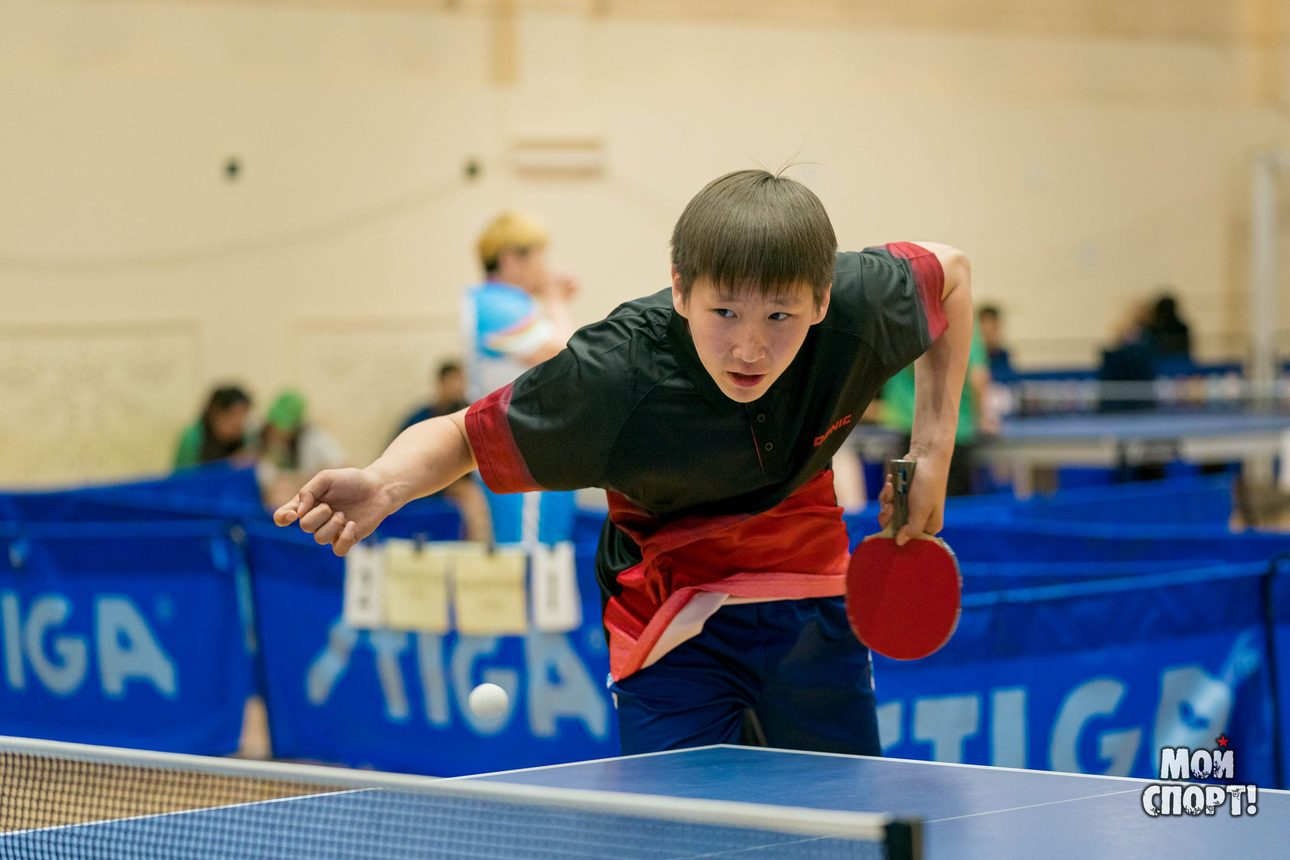 Спартакиада «Спортивные Якутяне». Студия «Мой Спорт!» — все о спорте в Якутии