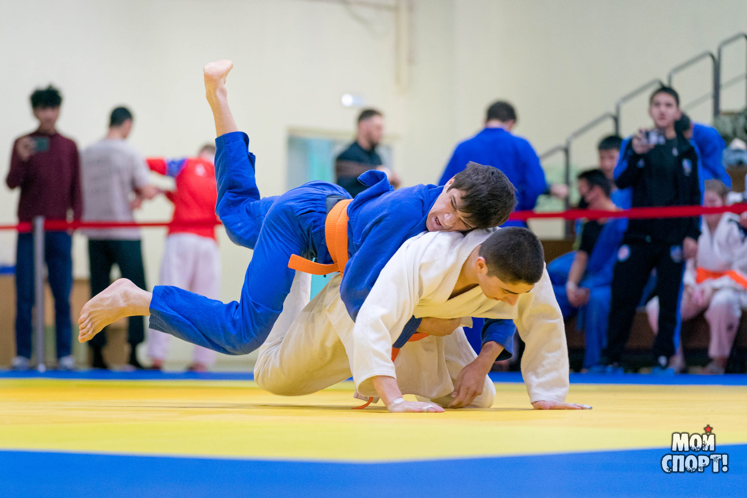Спартакиада, первенство и чемпионат РС (Я) по дзюдо. Студия «Мой Спорт!» — все о спорте в Якутии