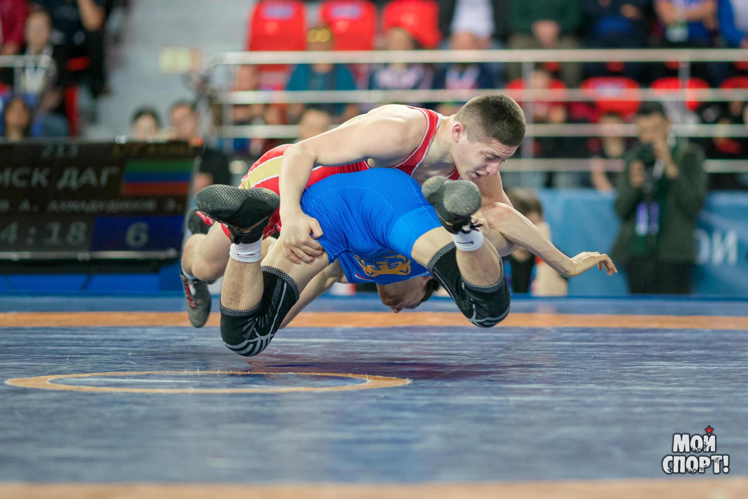 Первенство России по вольной борьбе. Студия «Мой Спорт!» — все о спорте в Якутии