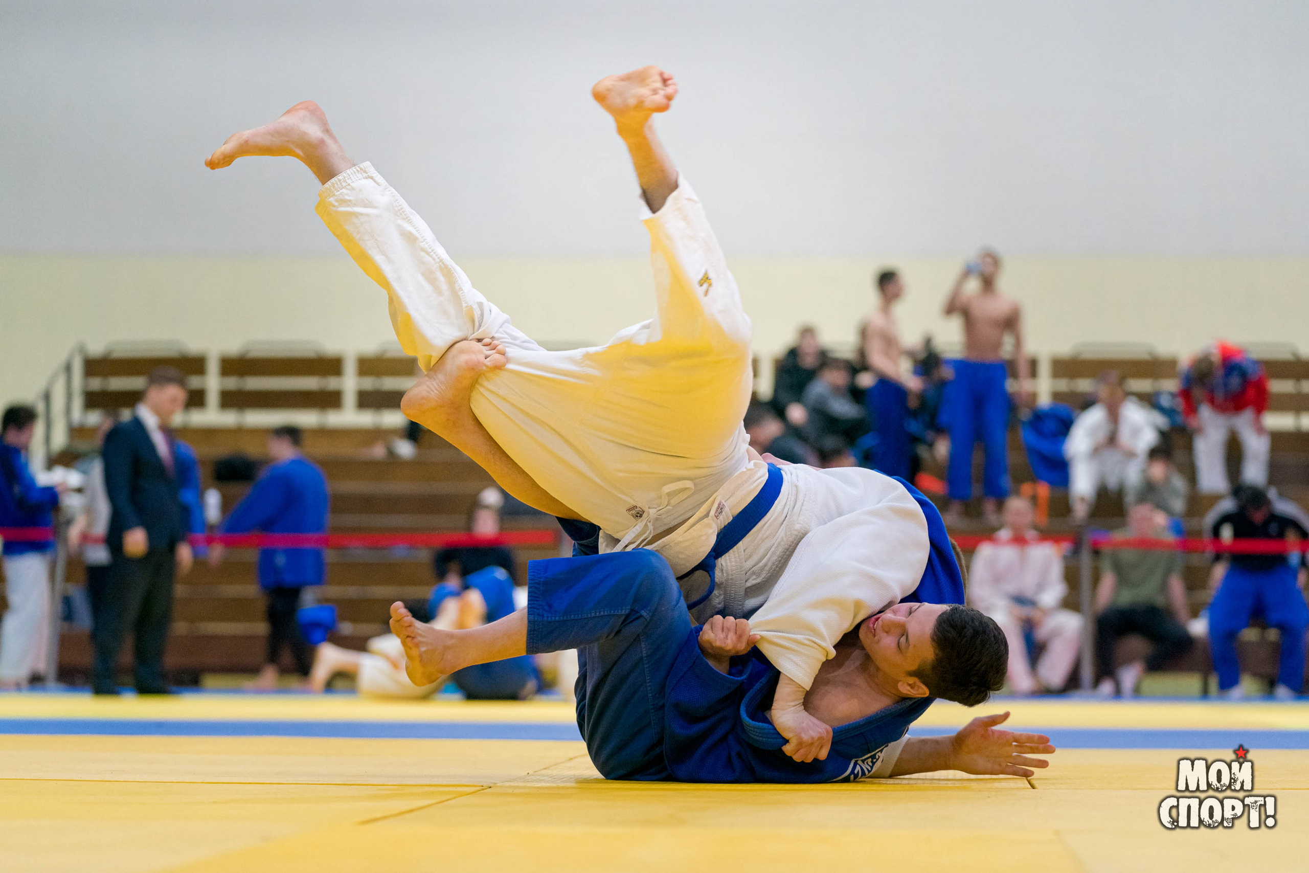 Спартакиада, первенство и чемпионат РС (Я) по дзюдо. Студия «Мой Спорт!» — все о спорте в Якутии