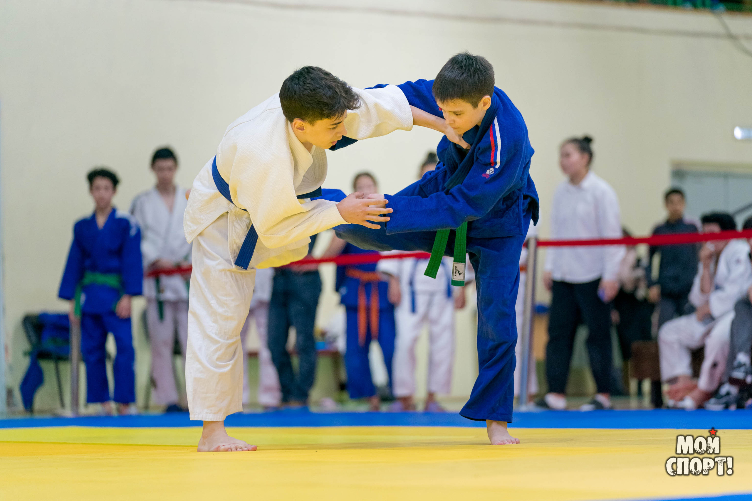 Спартакиада, первенство и чемпионат РС (Я) по дзюдо. Студия «Мой Спорт!» — все о спорте в Якутии