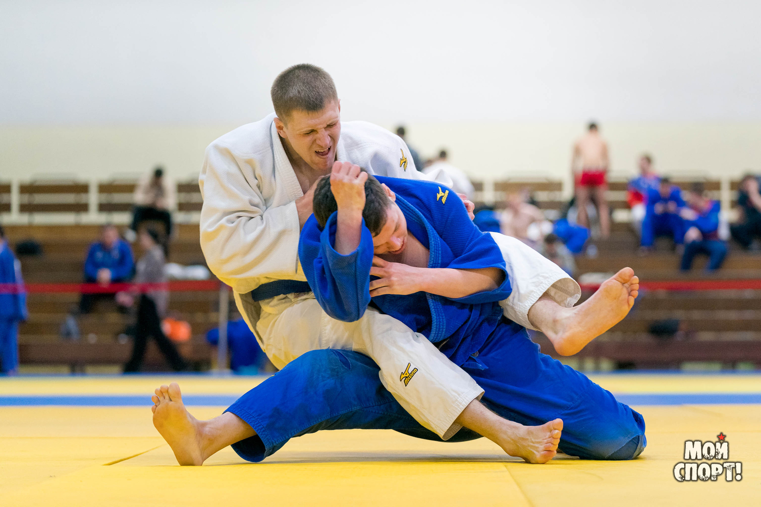 Спартакиада, первенство и чемпионат РС (Я) по дзюдо. Студия «Мой Спорт!» — все о спорте в Якутии