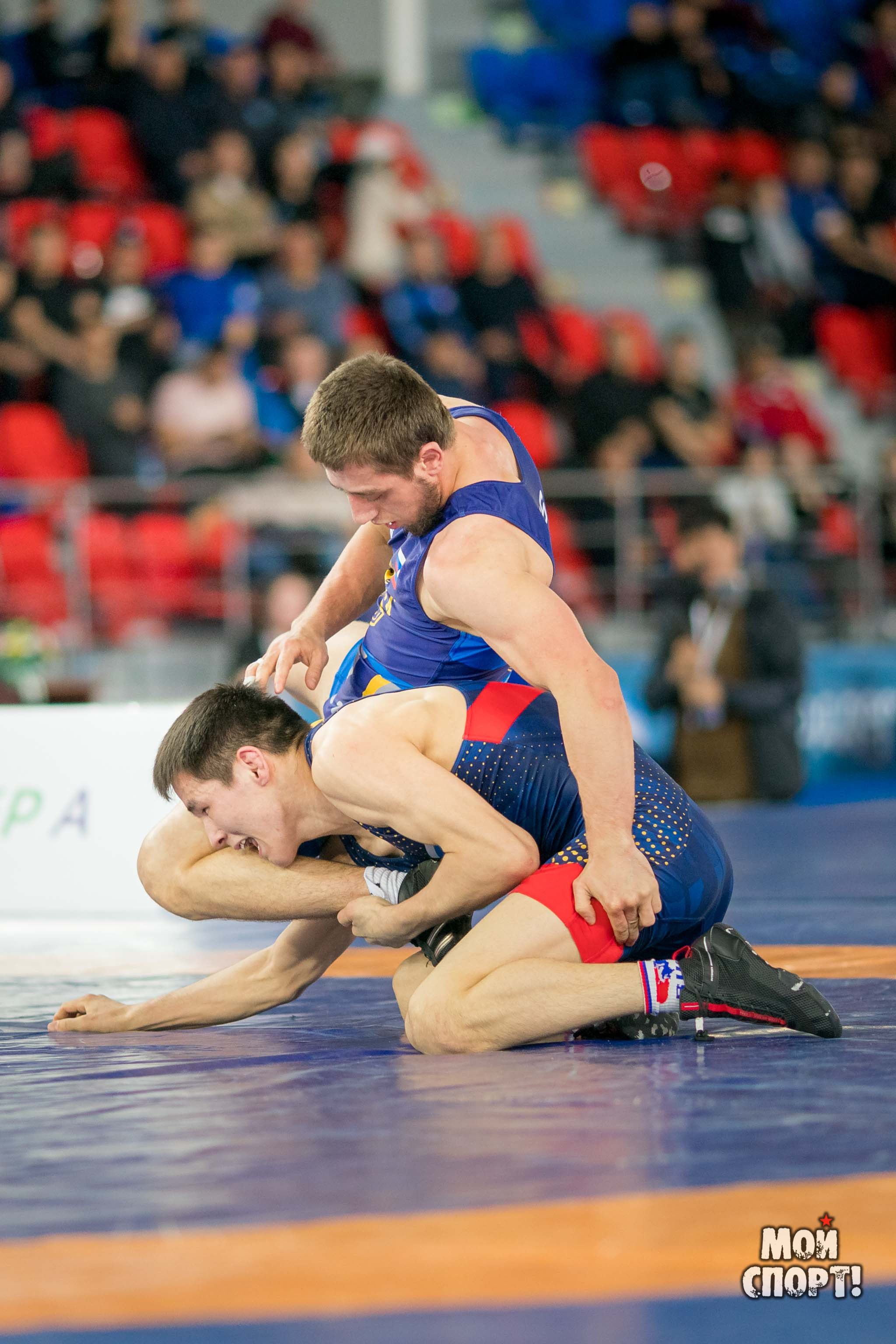 Первенство России по вольной борьбе. Студия «Мой Спорт!» — все о спорте в Якутии