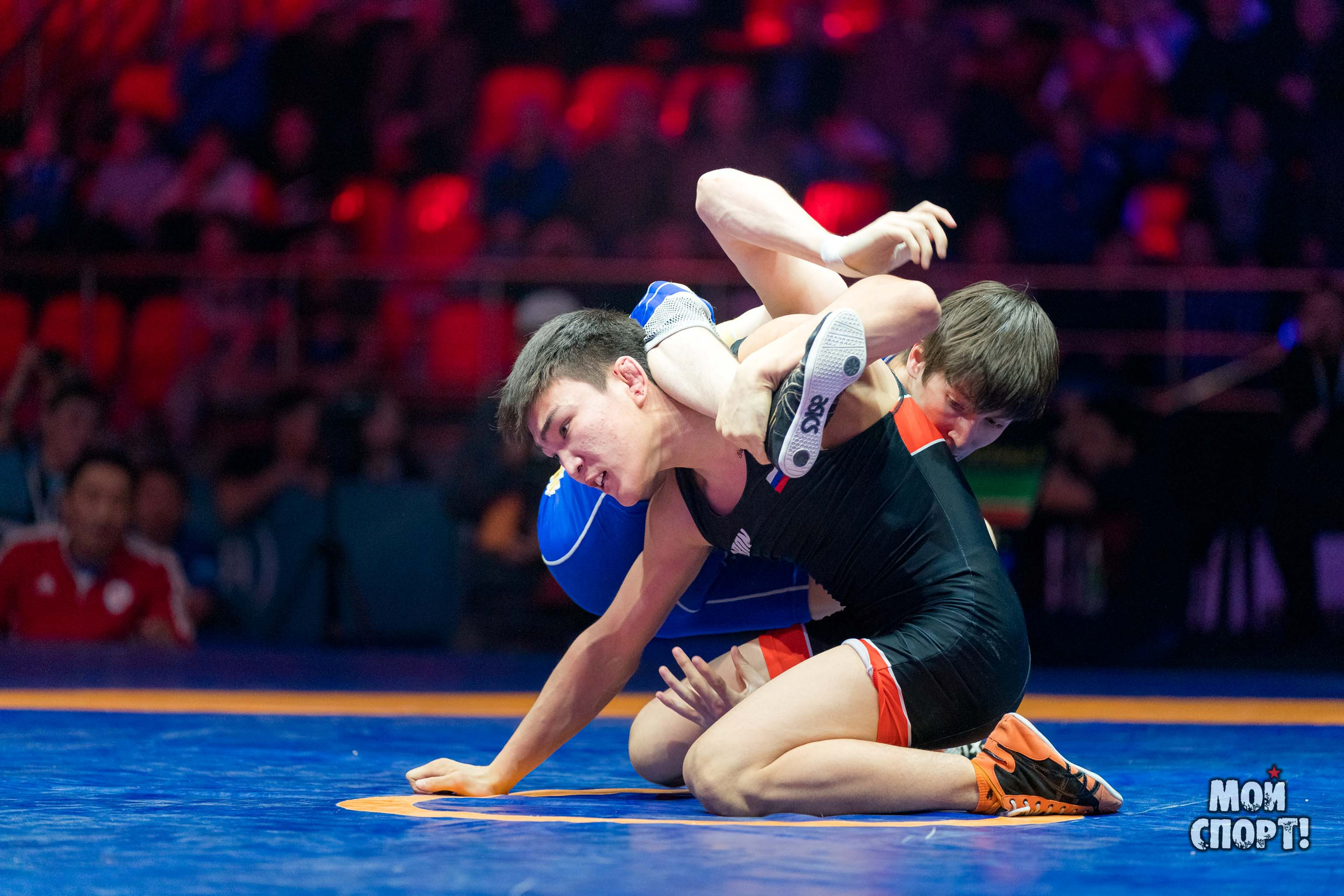 Первенство России по вольной борьбе. Студия «Мой Спорт!» — все о спорте в Якутии