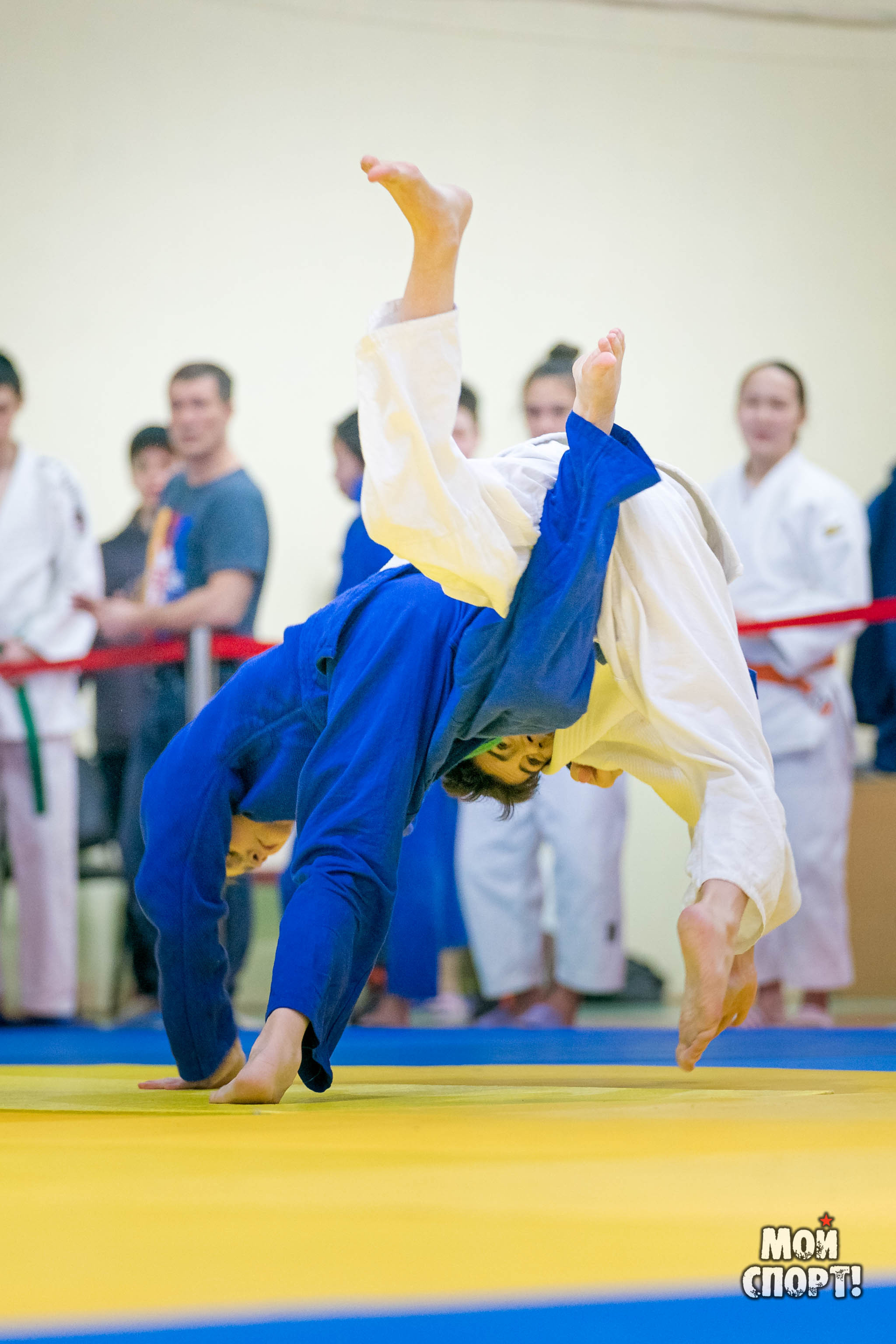 Спартакиада, первенство и чемпионат РС (Я) по дзюдо. Студия «Мой Спорт!» — все о спорте в Якутии