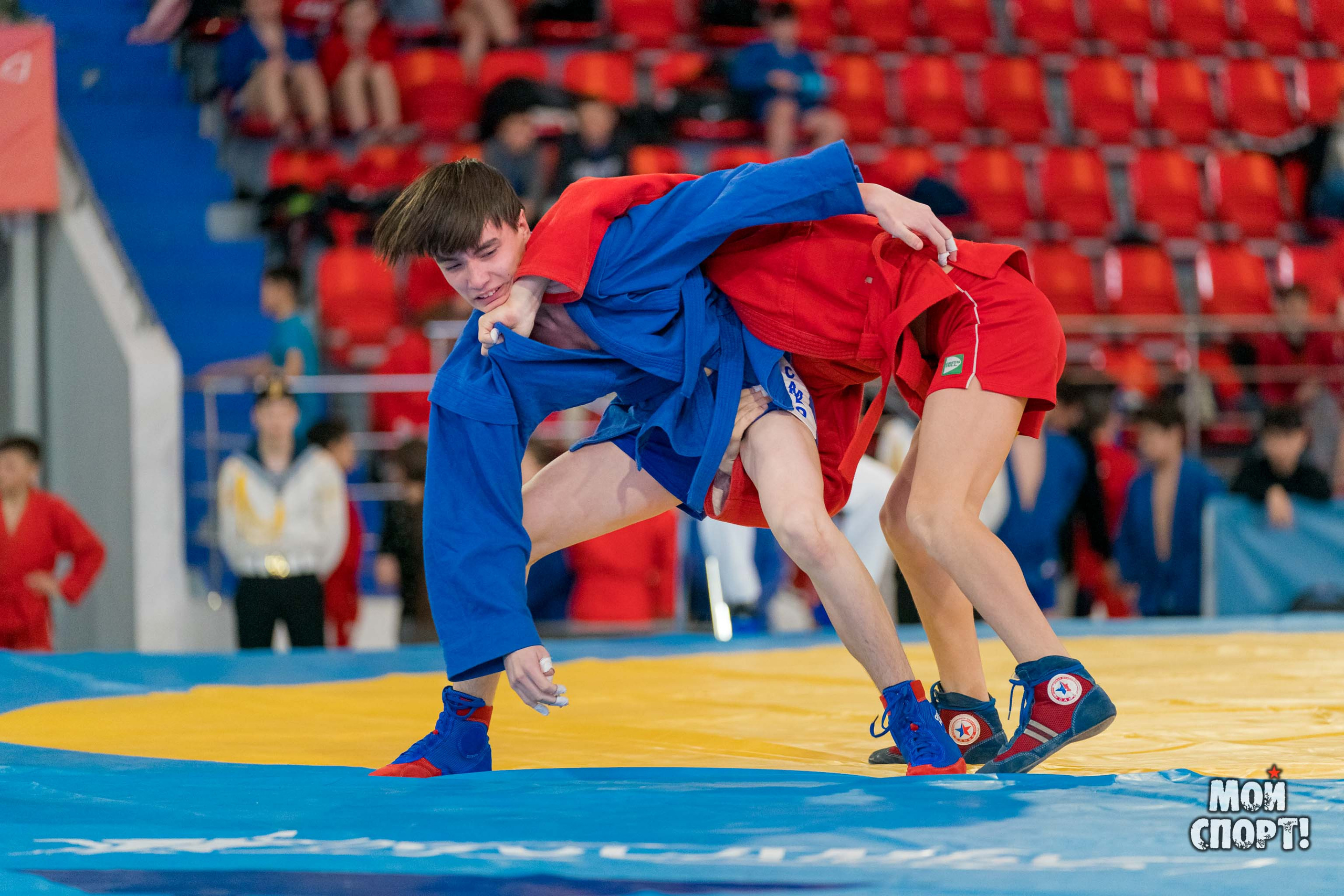 Всероссийские соревнования по самбо «Победа». Студия «Мой Спорт!» — все о спорте в Якутии